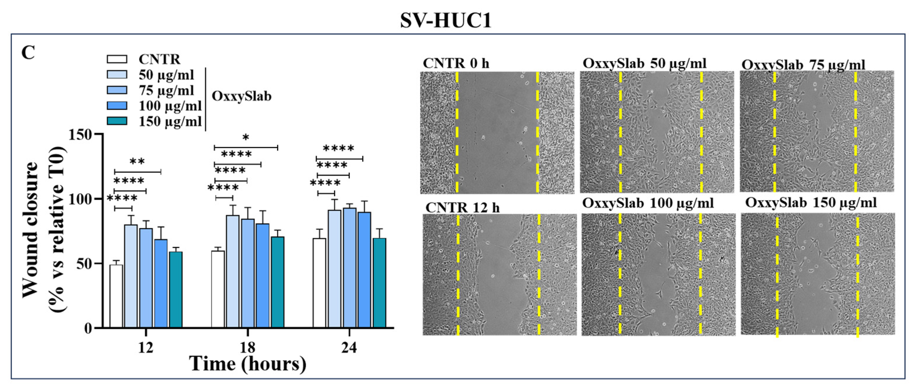 Antioxidants 14 01282 g002b