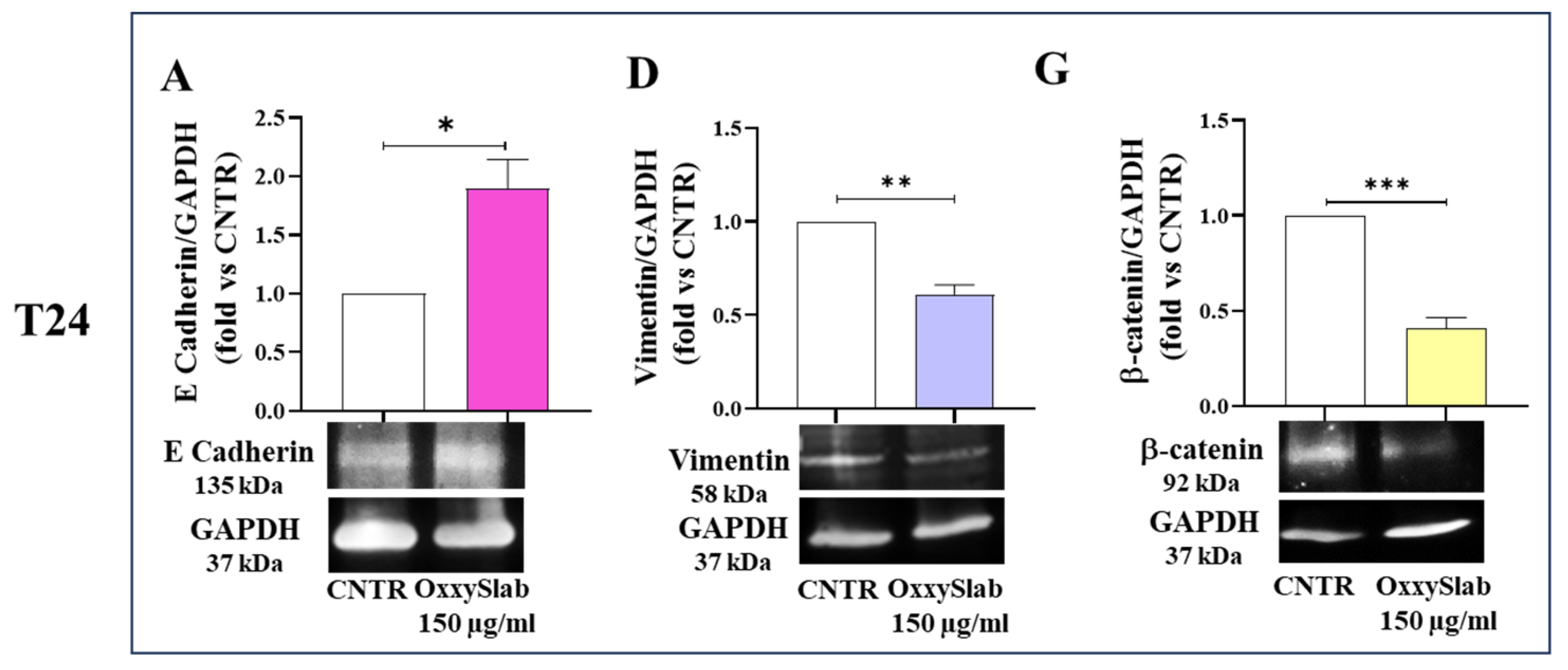 Antioxidants 14 01282 g003a