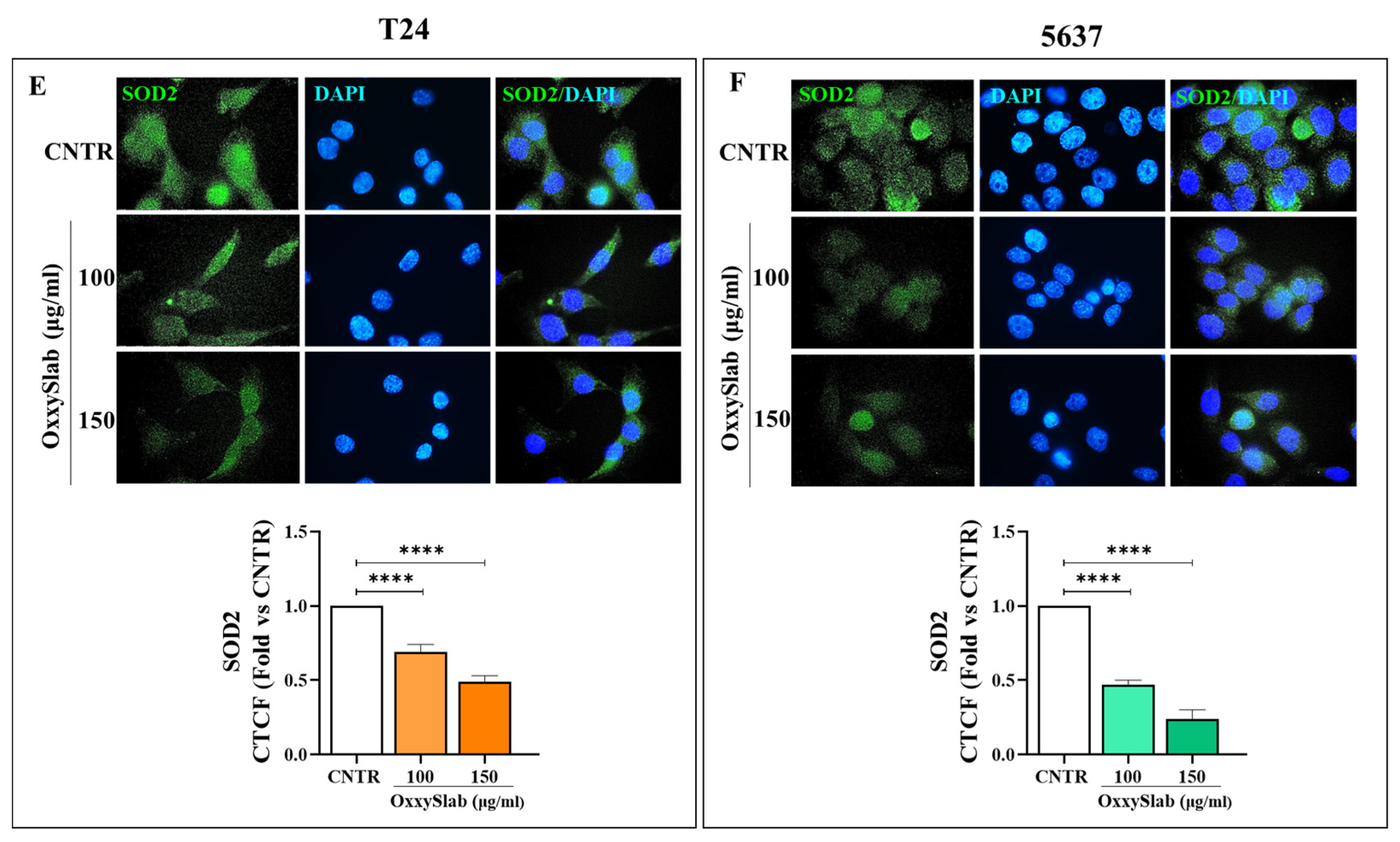 Antioxidants 14 01282 g007b