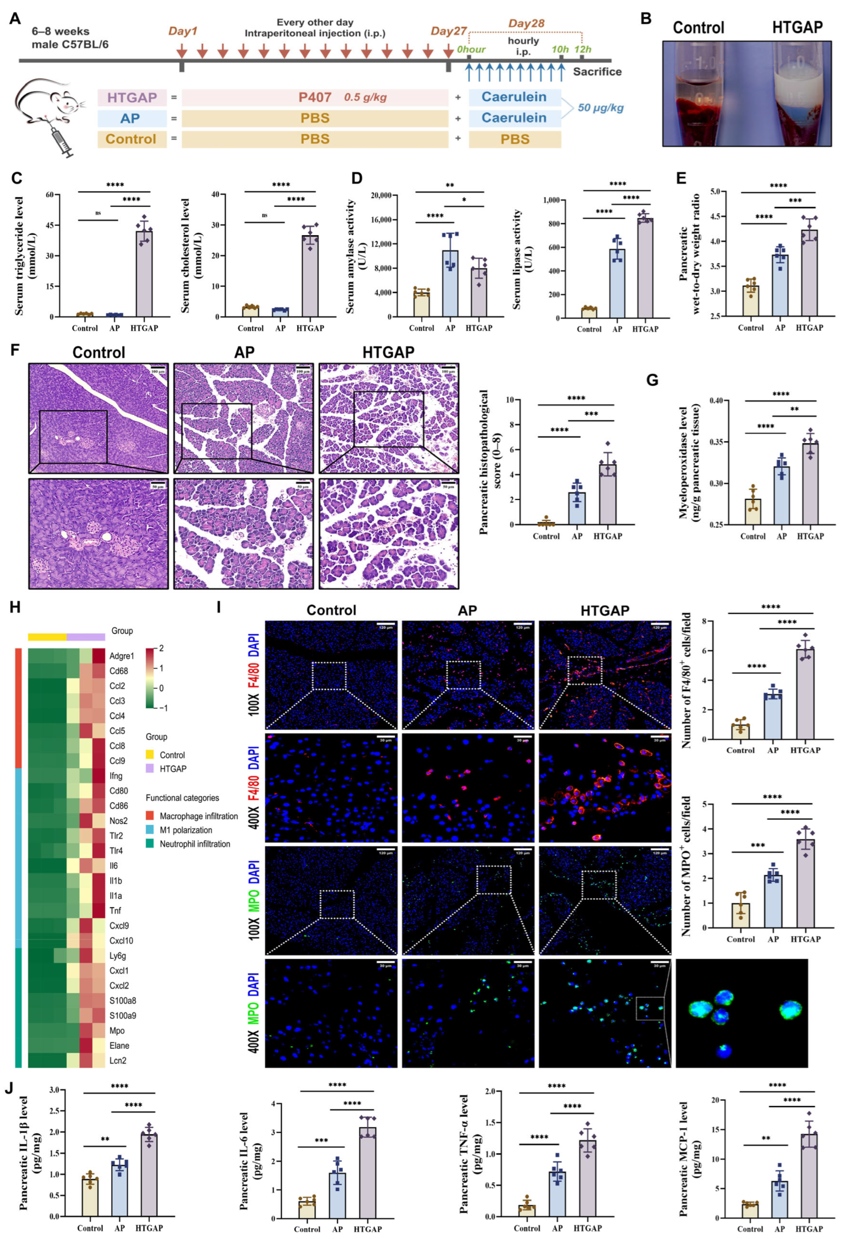 Antioxidants 14 01284 g001 Antioxidants 14 01284 g001