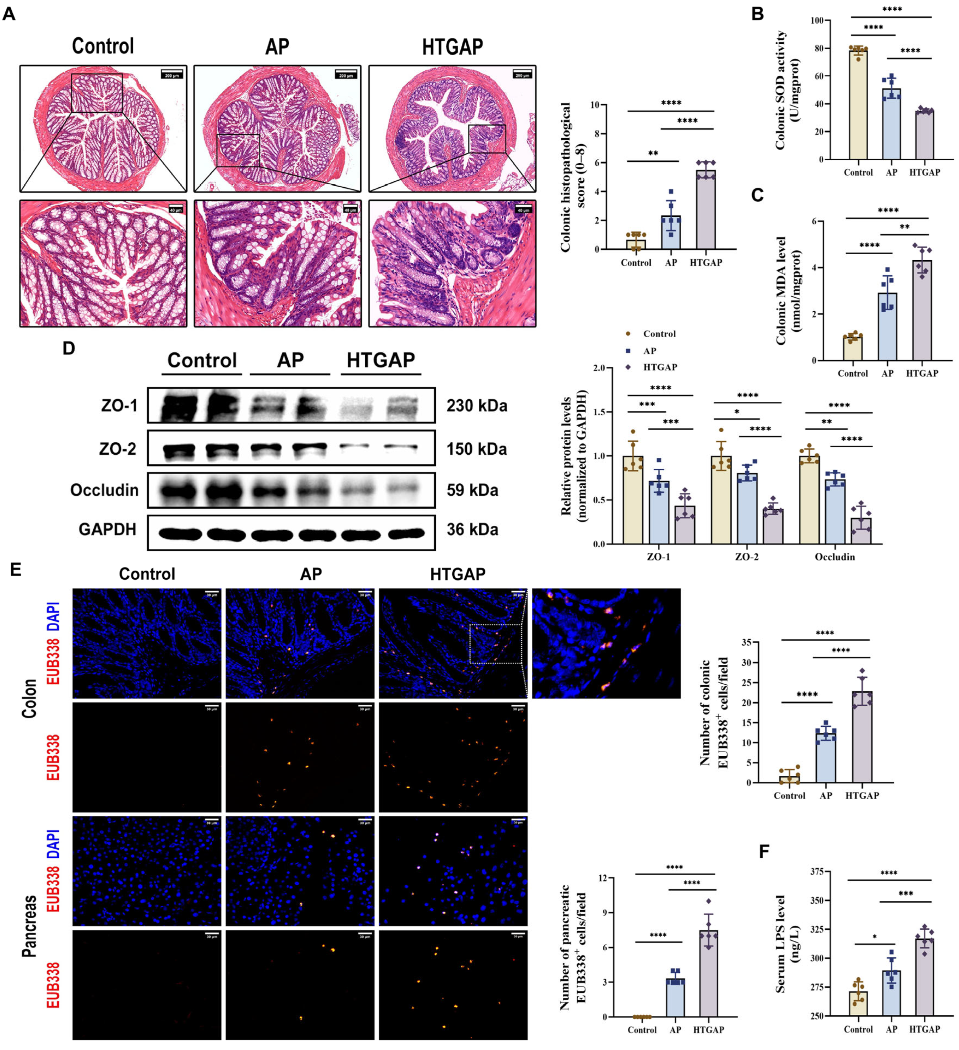 Antioxidants 14 01284 g002 Antioxidants 14 01284 g002