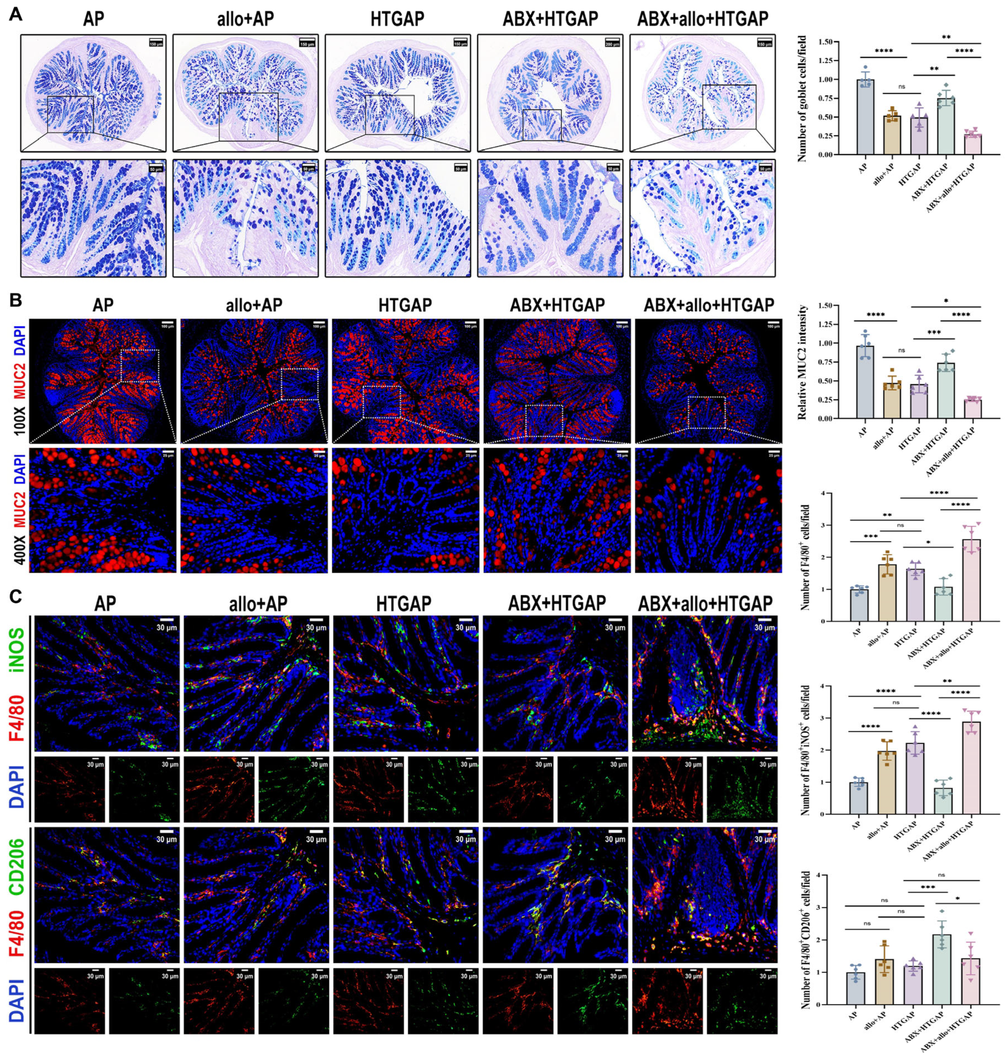 Antioxidants 14 01284 g006 Antioxidants 14 01284 g006