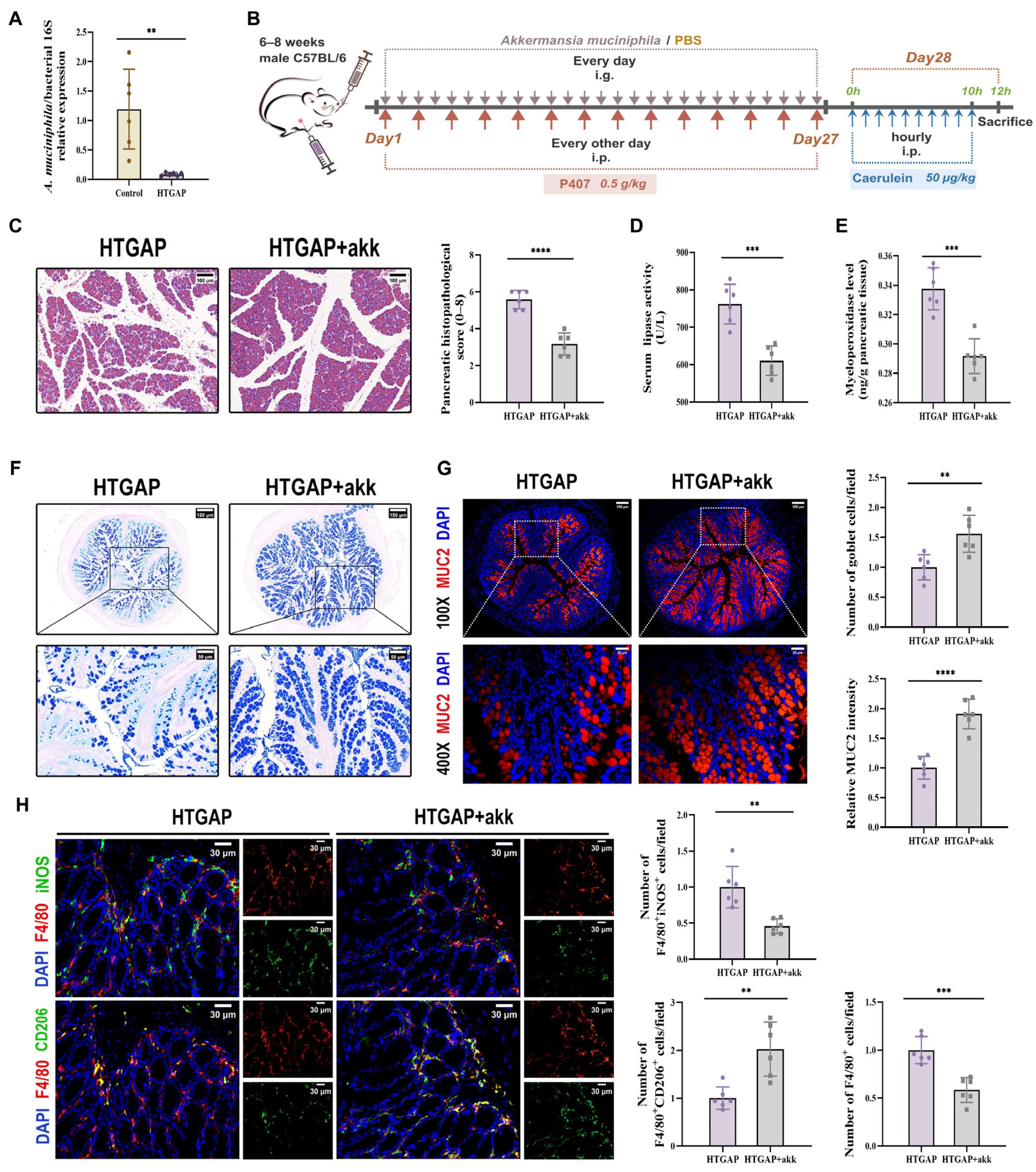 Antioxidants 14 01284 g007 Antioxidants 14 01284 g007