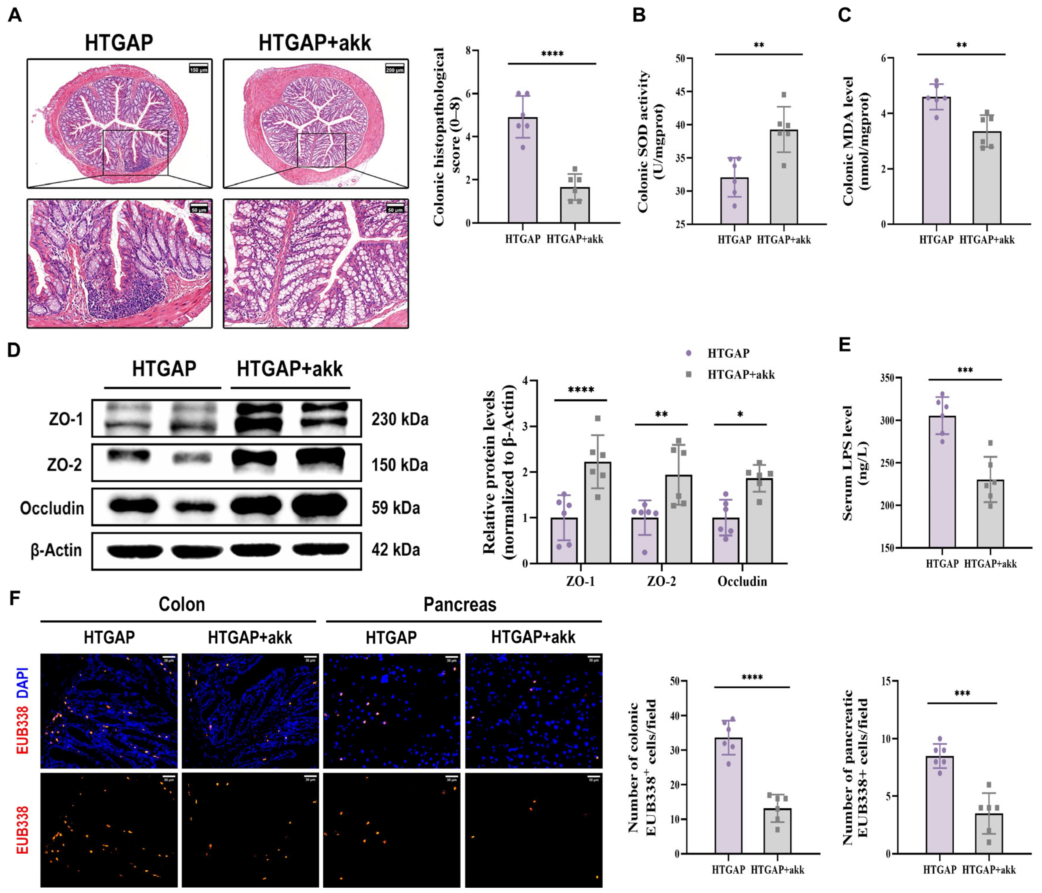 Antioxidants 14 01284 g008 Antioxidants 14 01284 g008