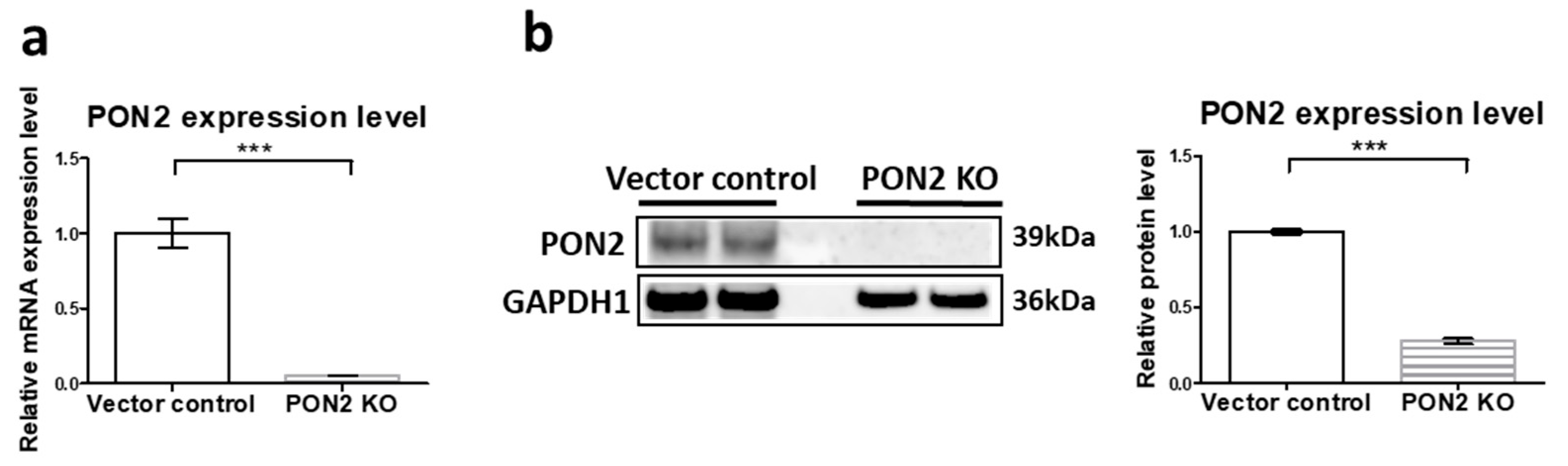 Antioxidants 14 01288 g001 Antioxidants 14 01288 g001