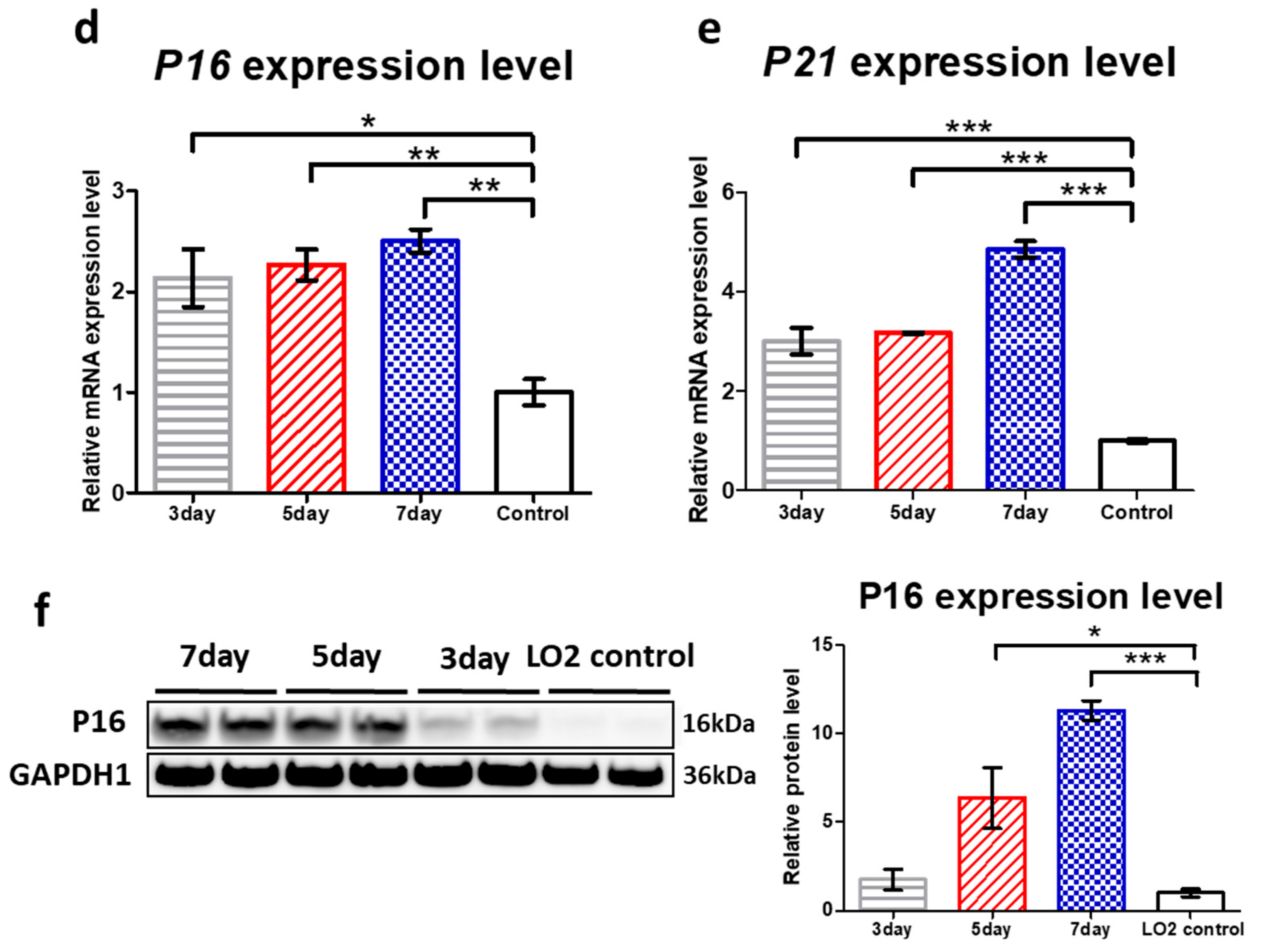 Antioxidants 14 01288 g002b Antioxidants 14 01288 g002b