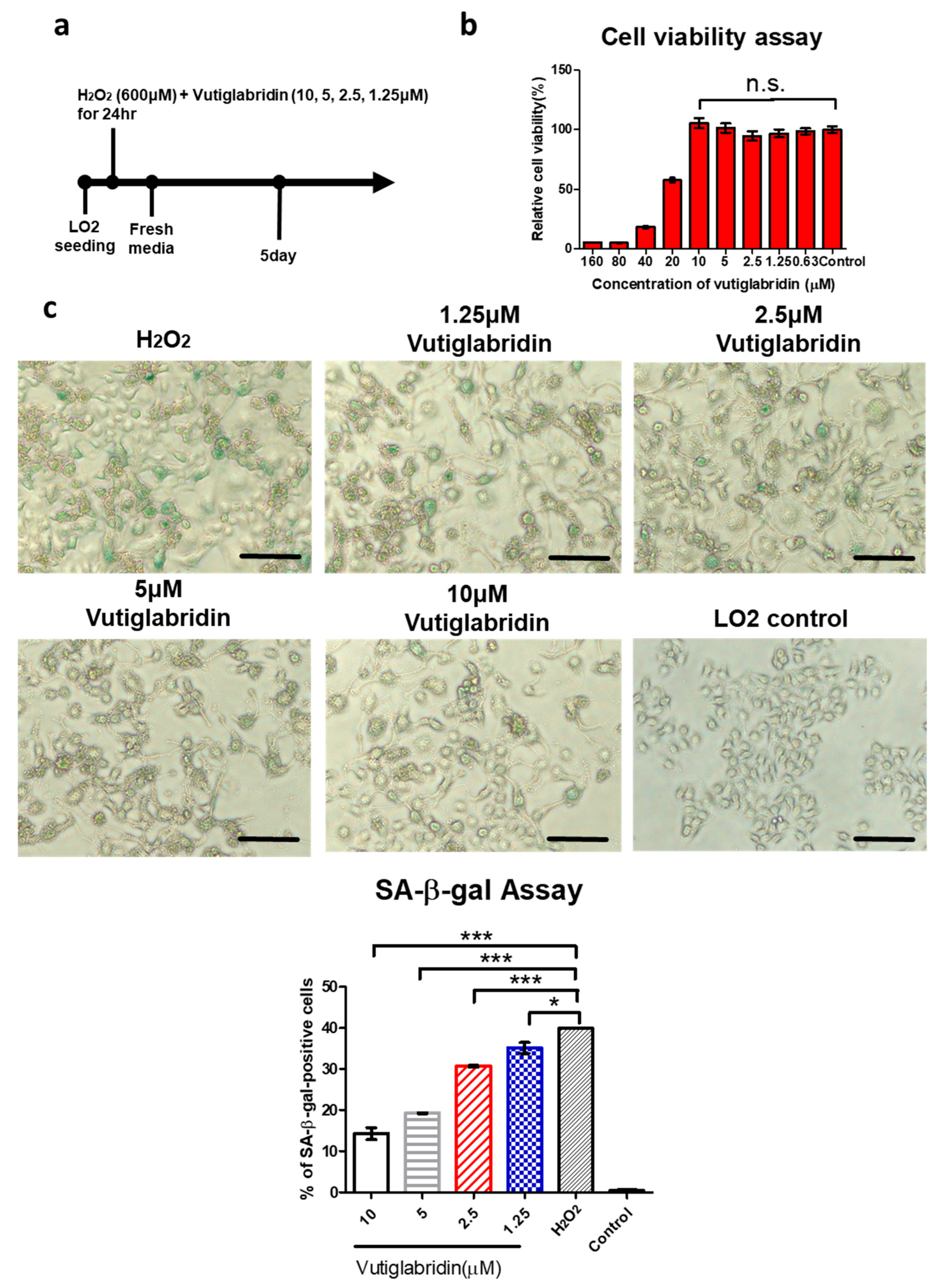 Antioxidants 14 01288 g003a Antioxidants 14 01288 g003a