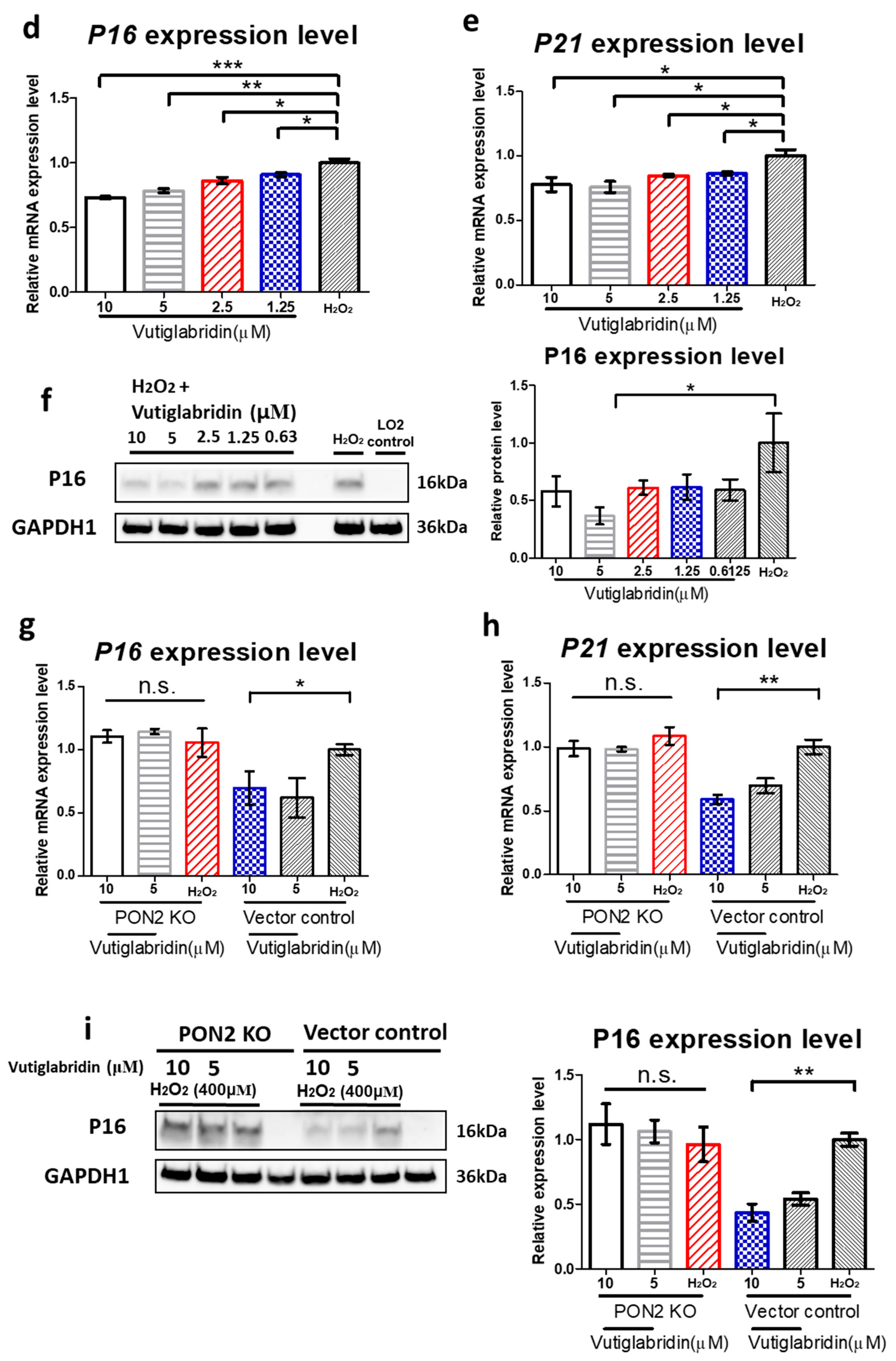 Antioxidants 14 01288 g003b Antioxidants 14 01288 g003b