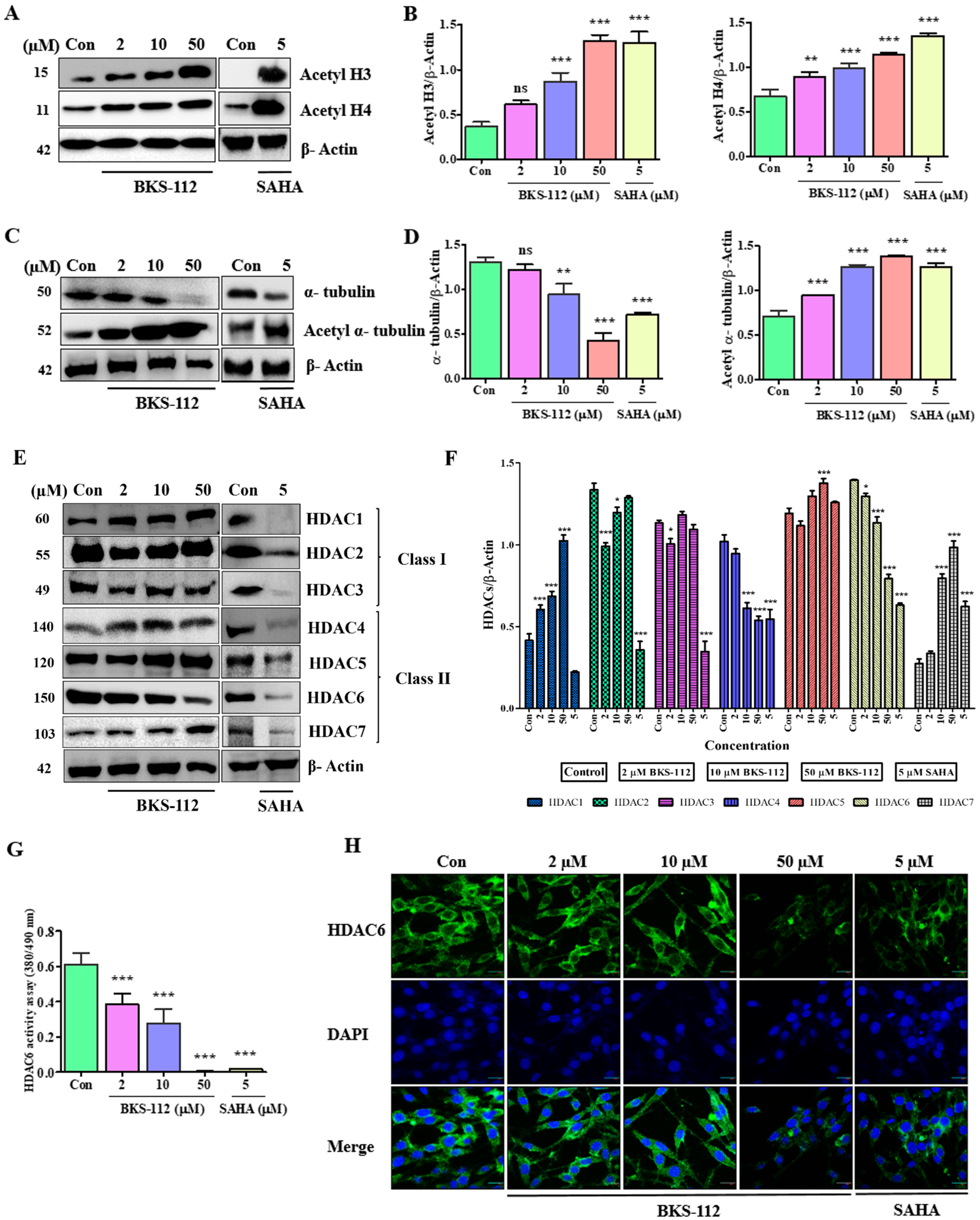 Antioxidants 14 01291 g002