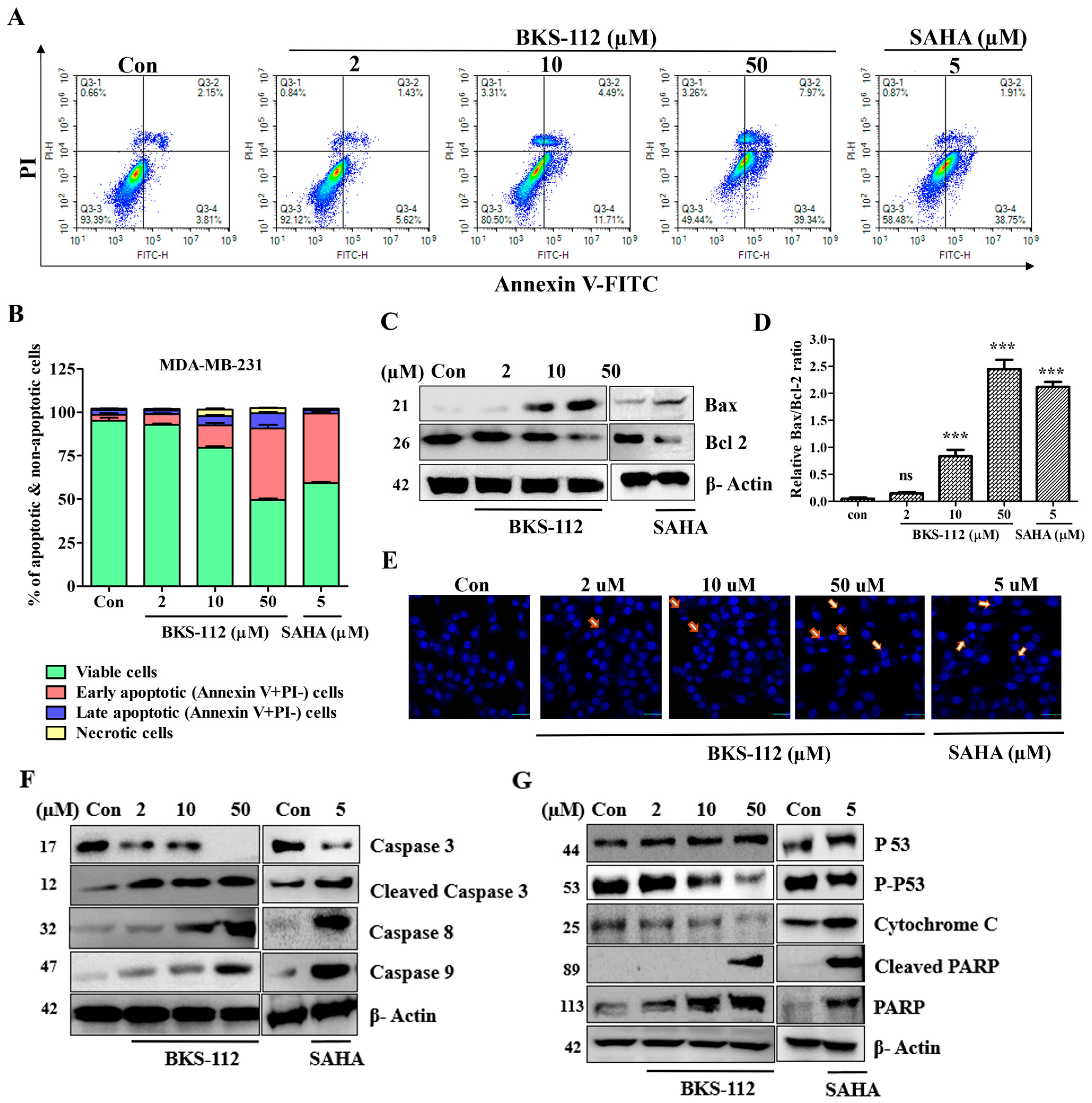 Antioxidants 14 01291 g004