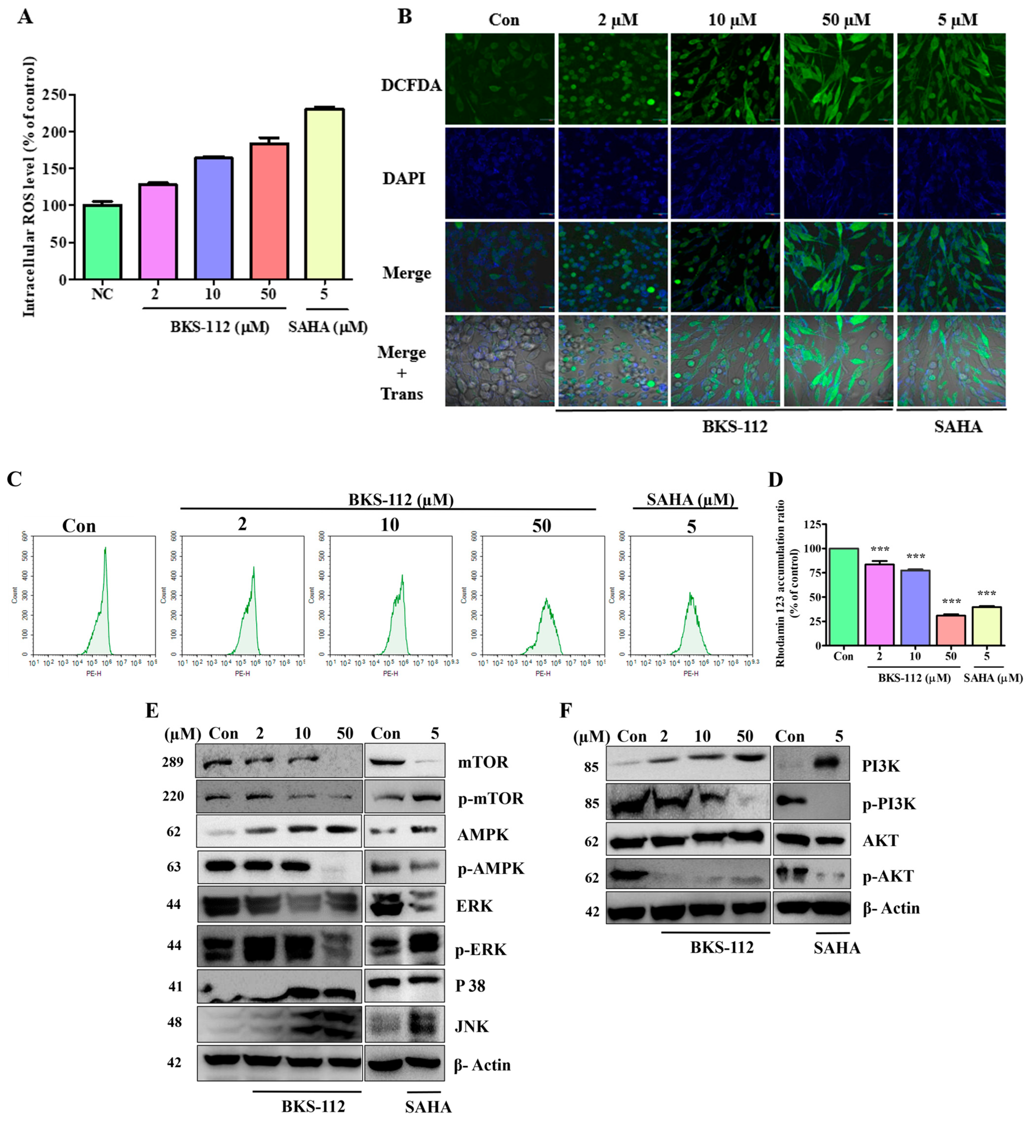 Antioxidants 14 01291 g006