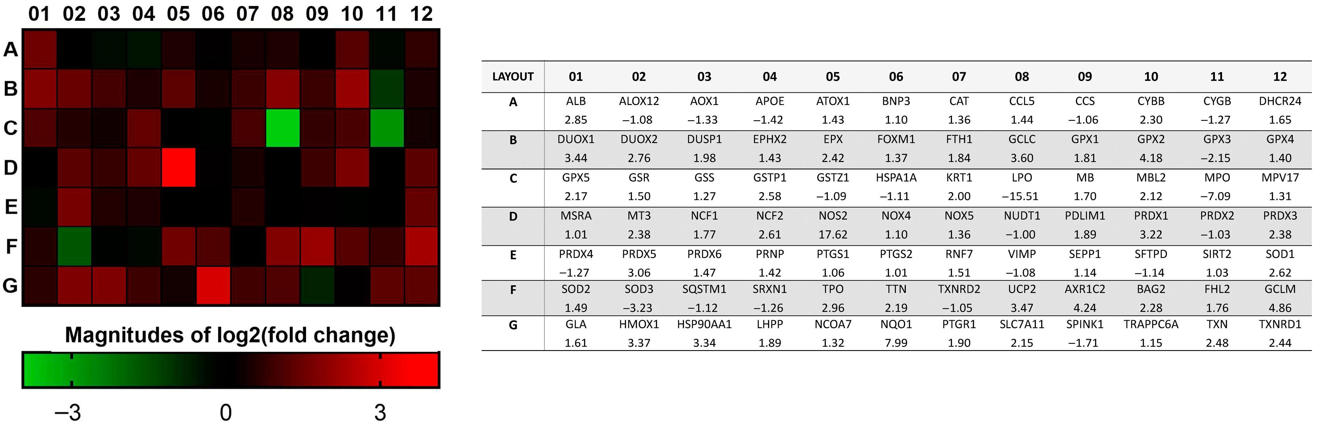 Antioxidants 14 01292 g001 Antioxidants 14 01292 g001