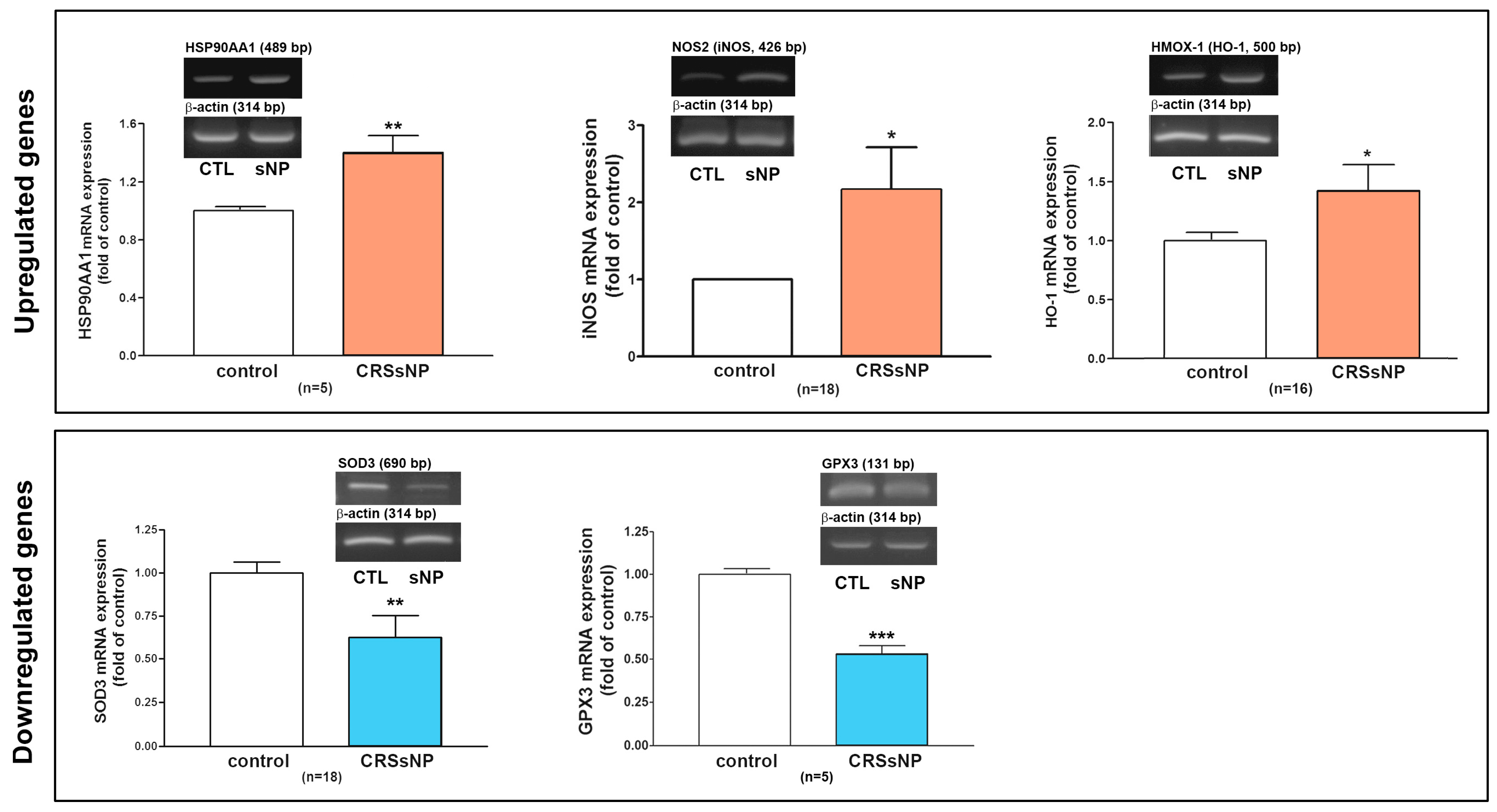 Antioxidants 14 01292 g003 Antioxidants 14 01292 g003