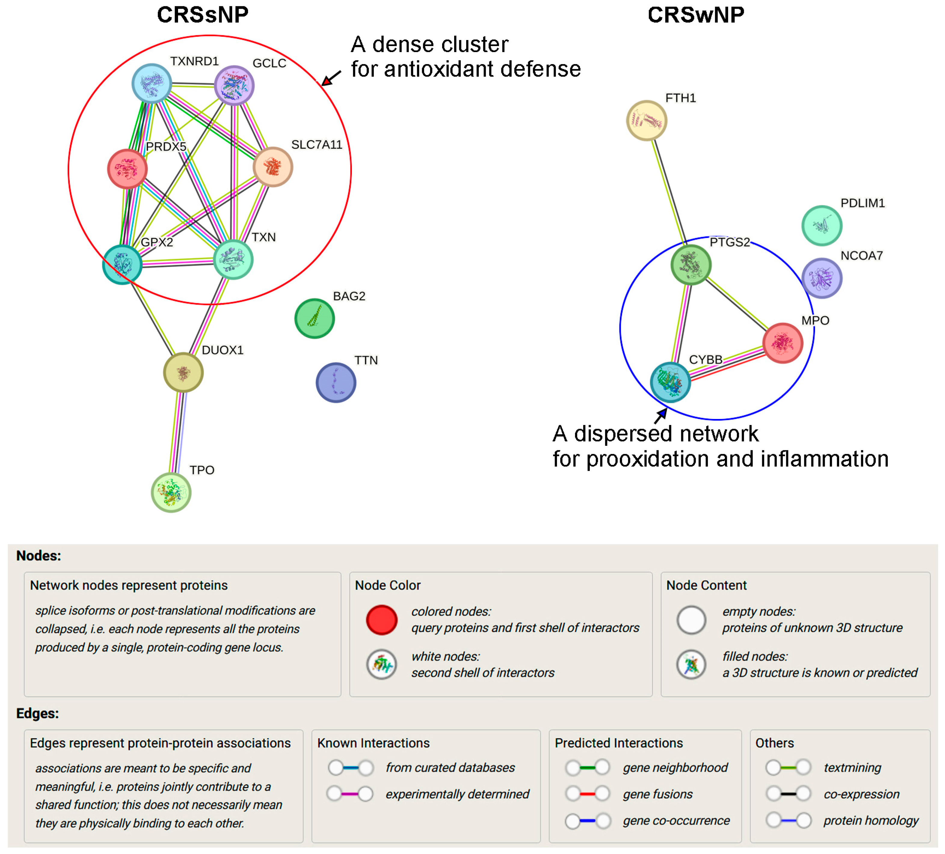 Antioxidants 14 01292 g007 Antioxidants 14 01292 g007