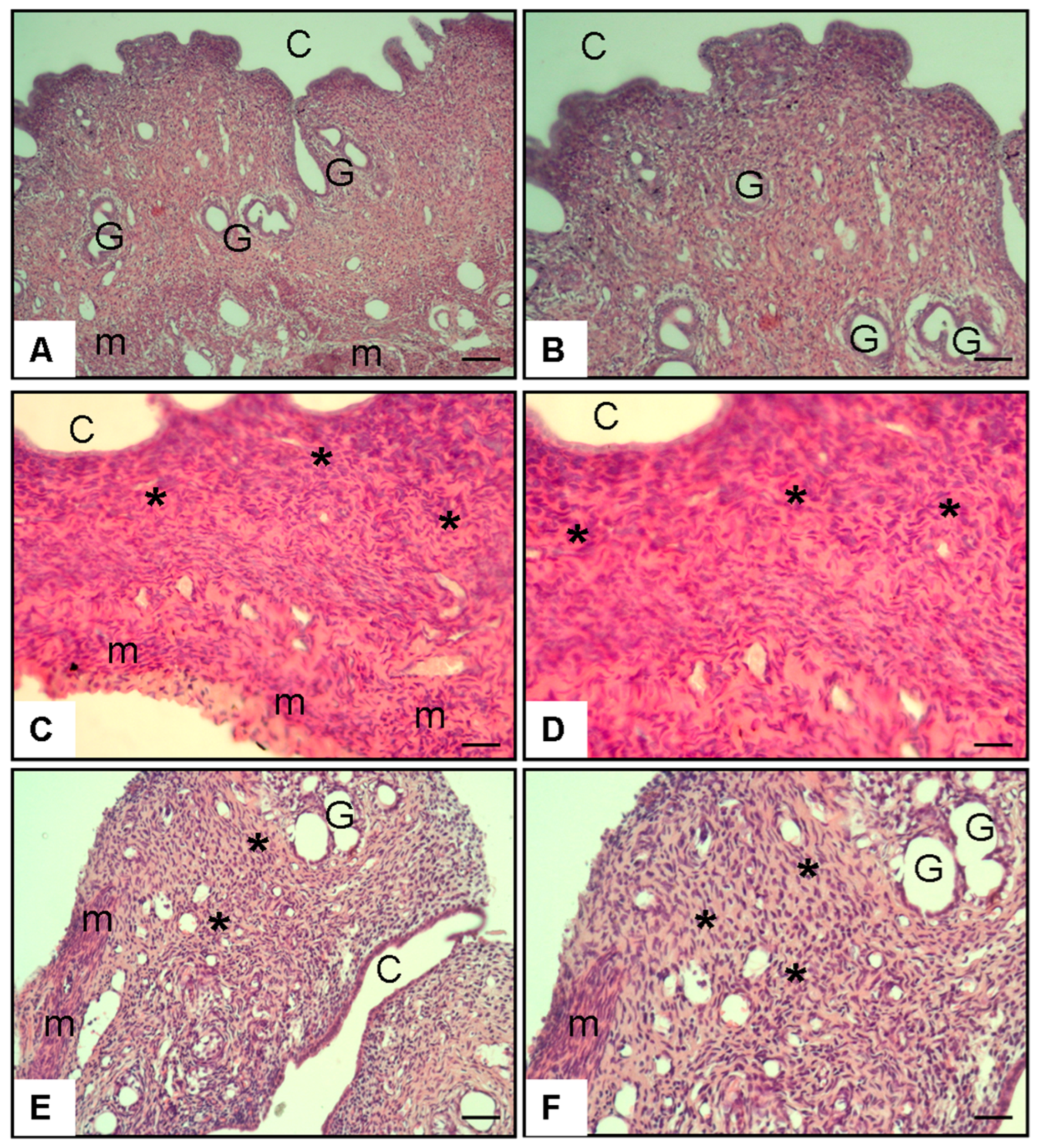 Antioxidants 14 01294 g005 Antioxidants 14 01294 g005