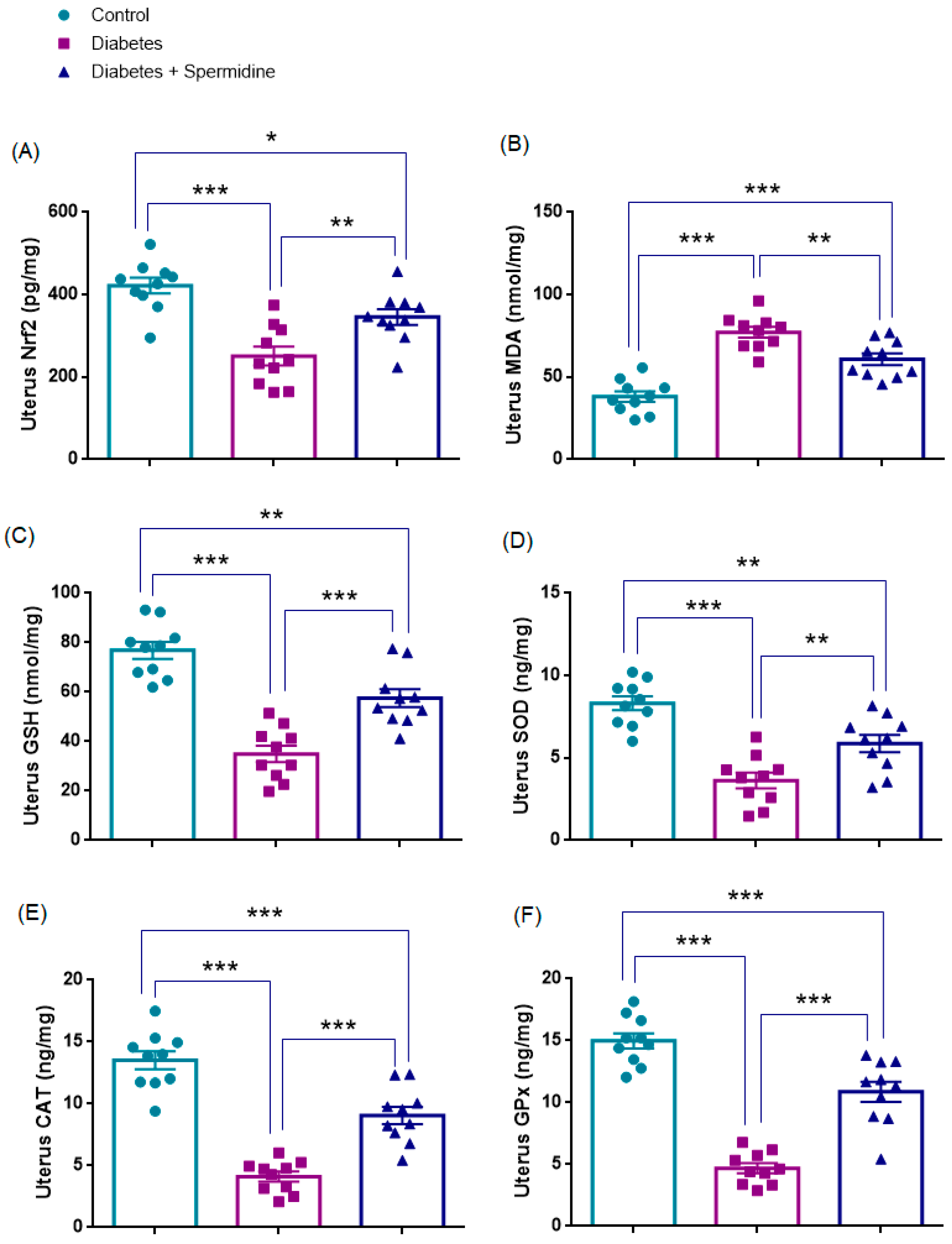 Antioxidants 14 01294 g007 Antioxidants 14 01294 g007