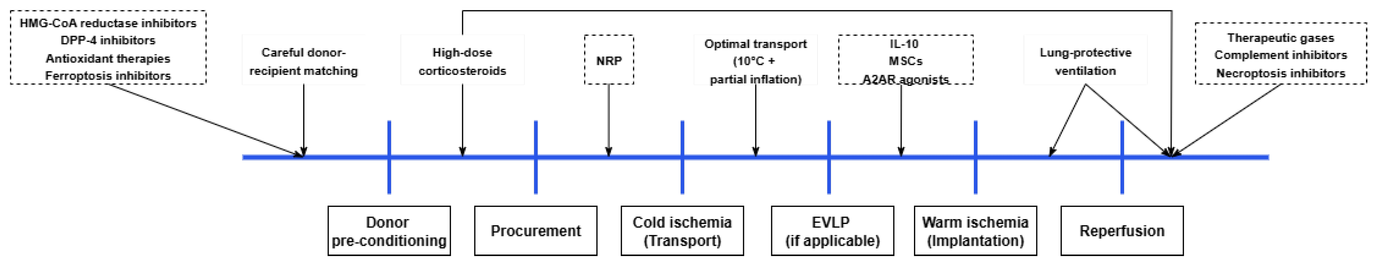 Antioxidants 14 01295 g002