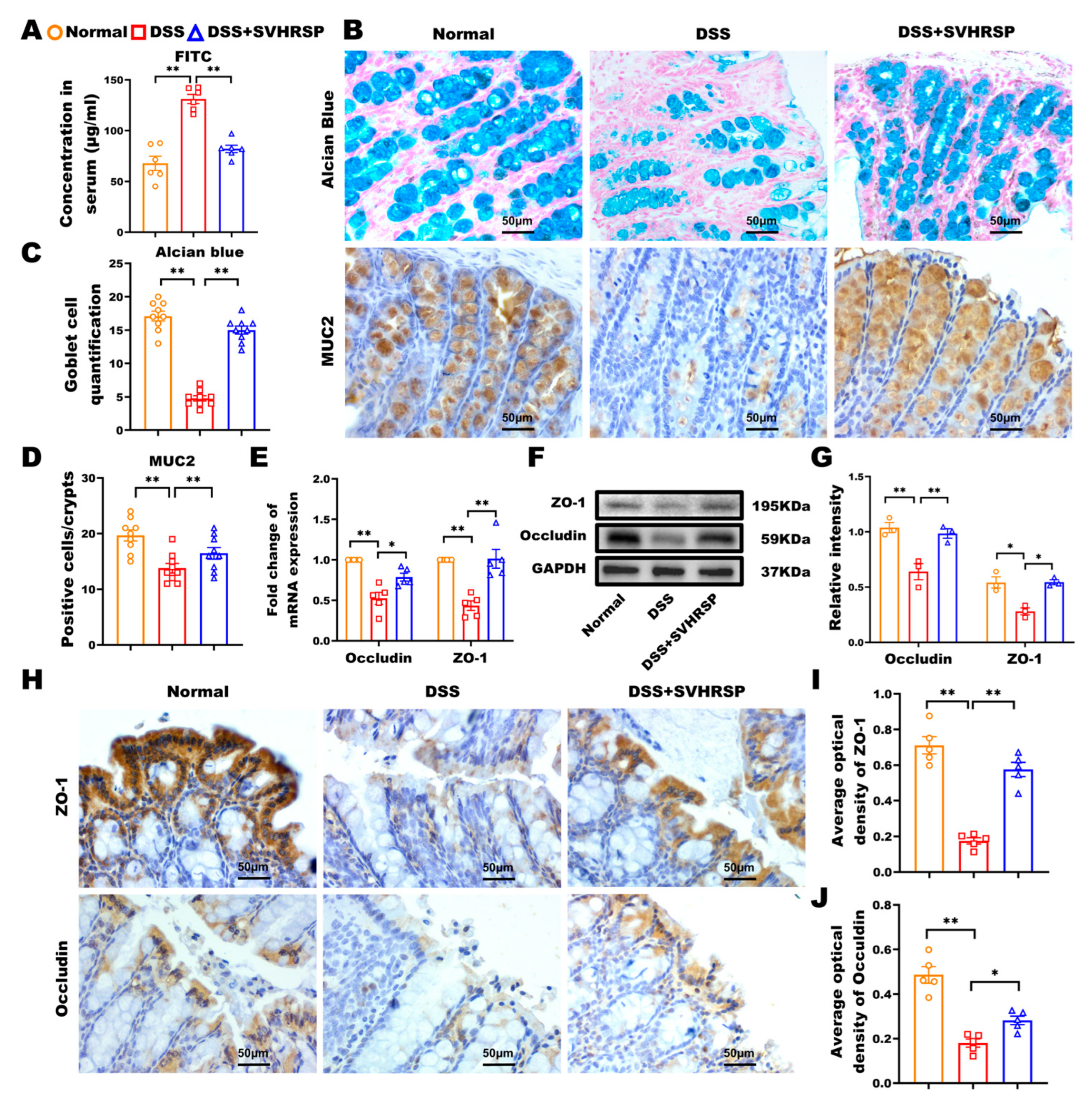 Antioxidants 14 01296 g002 Antioxidants 14 01296 g002