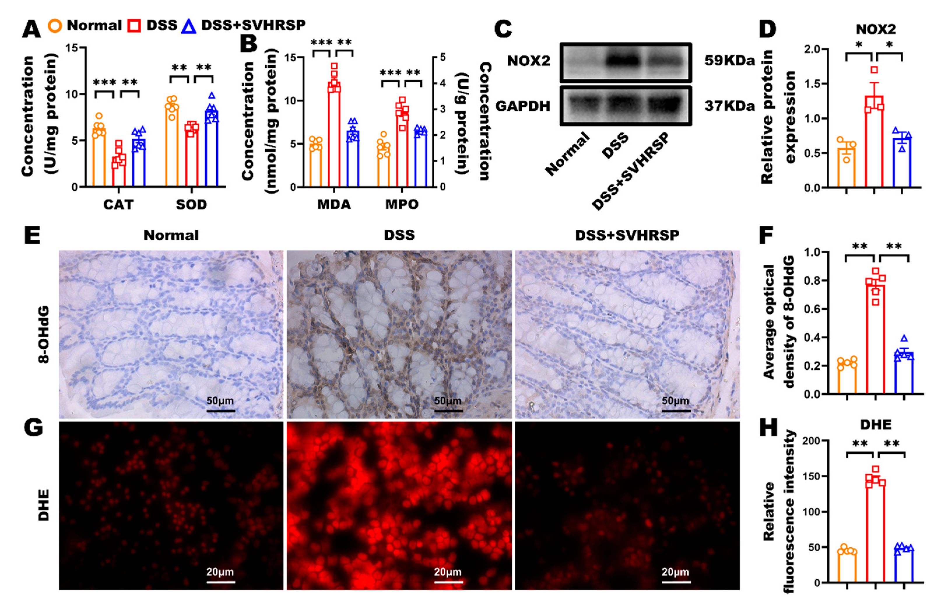 Antioxidants 14 01296 g004 Antioxidants 14 01296 g004