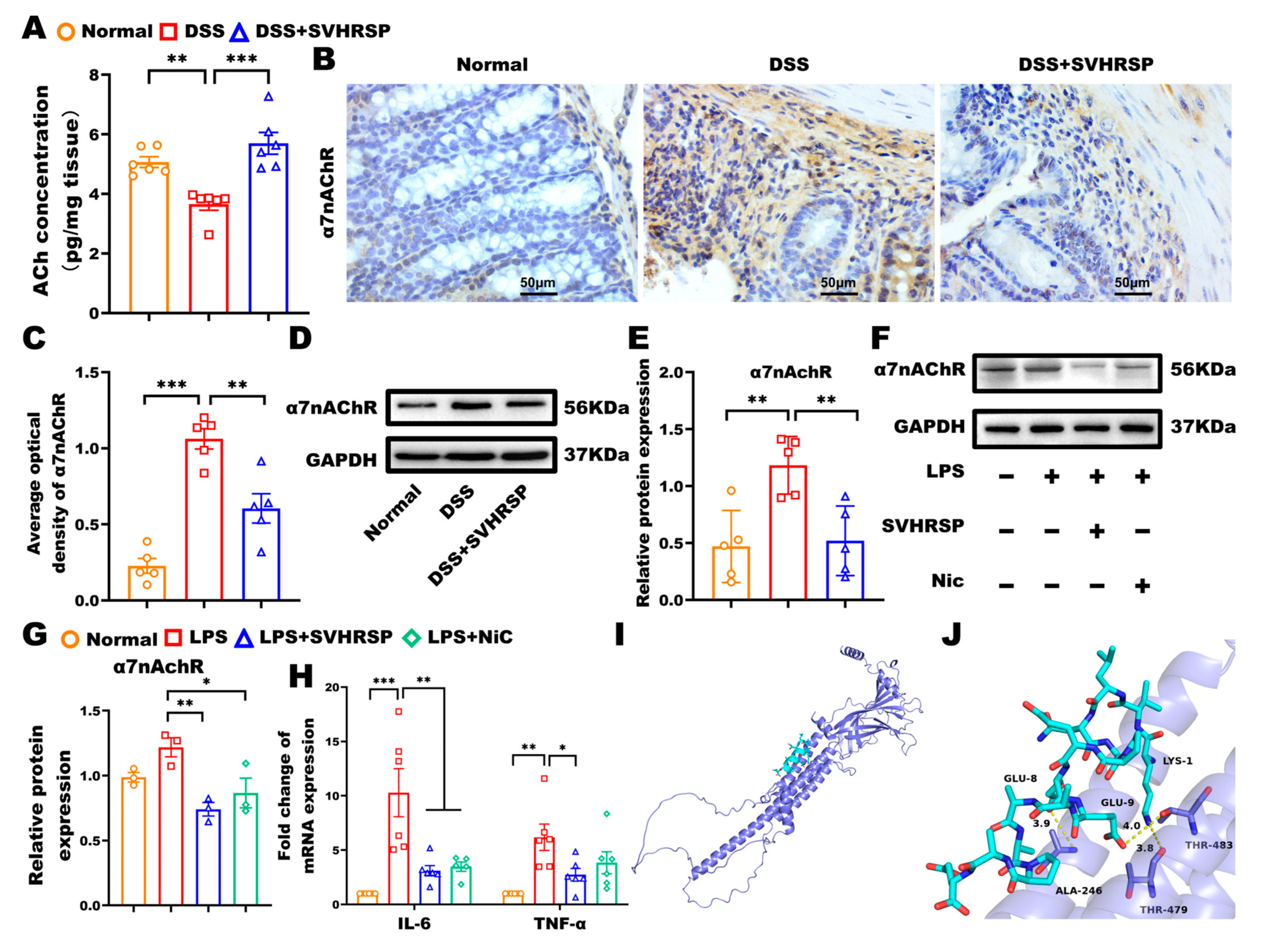 Antioxidants 14 01296 g005 Antioxidants 14 01296 g005