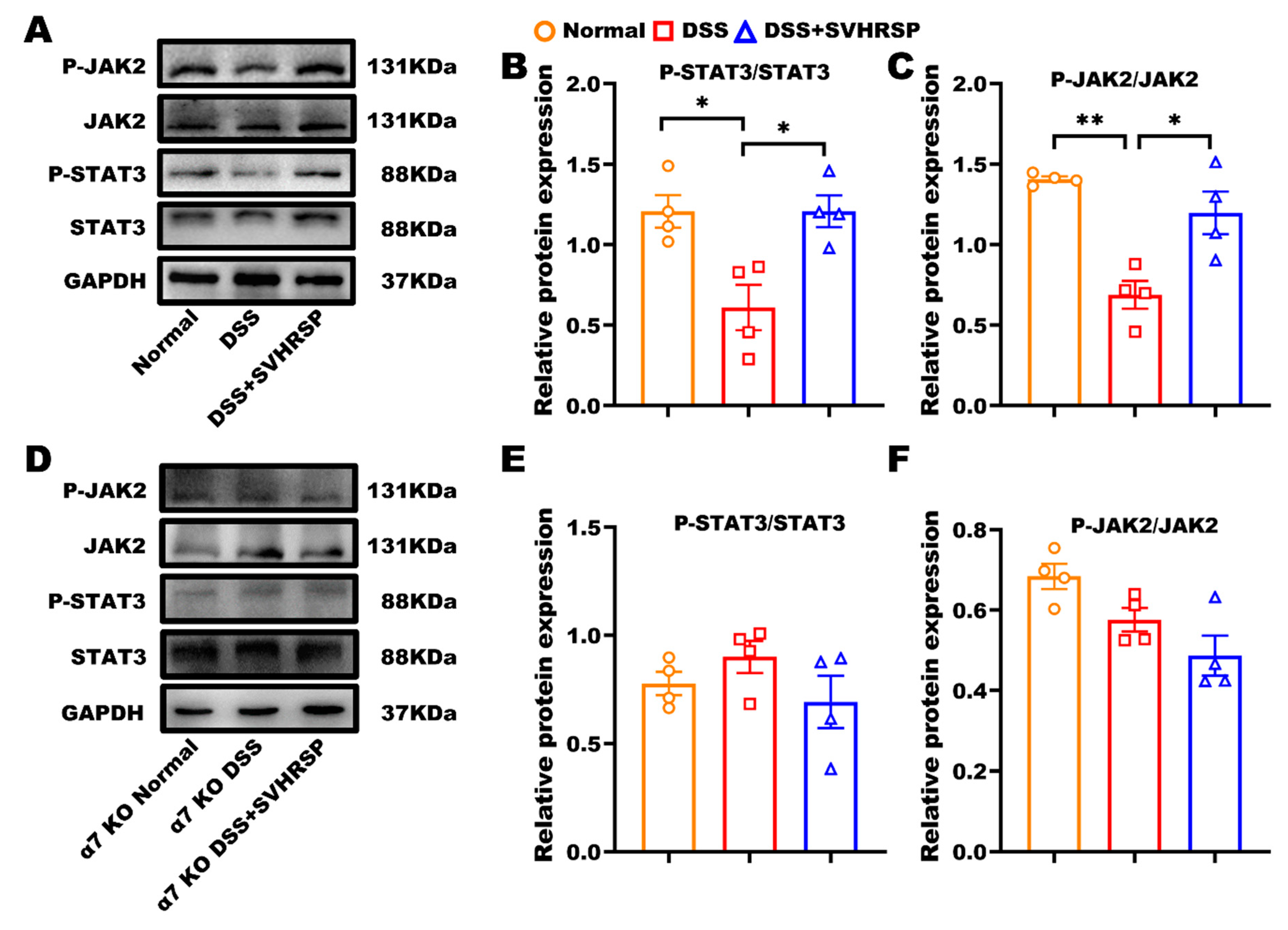 Antioxidants 14 01296 g007 Antioxidants 14 01296 g007