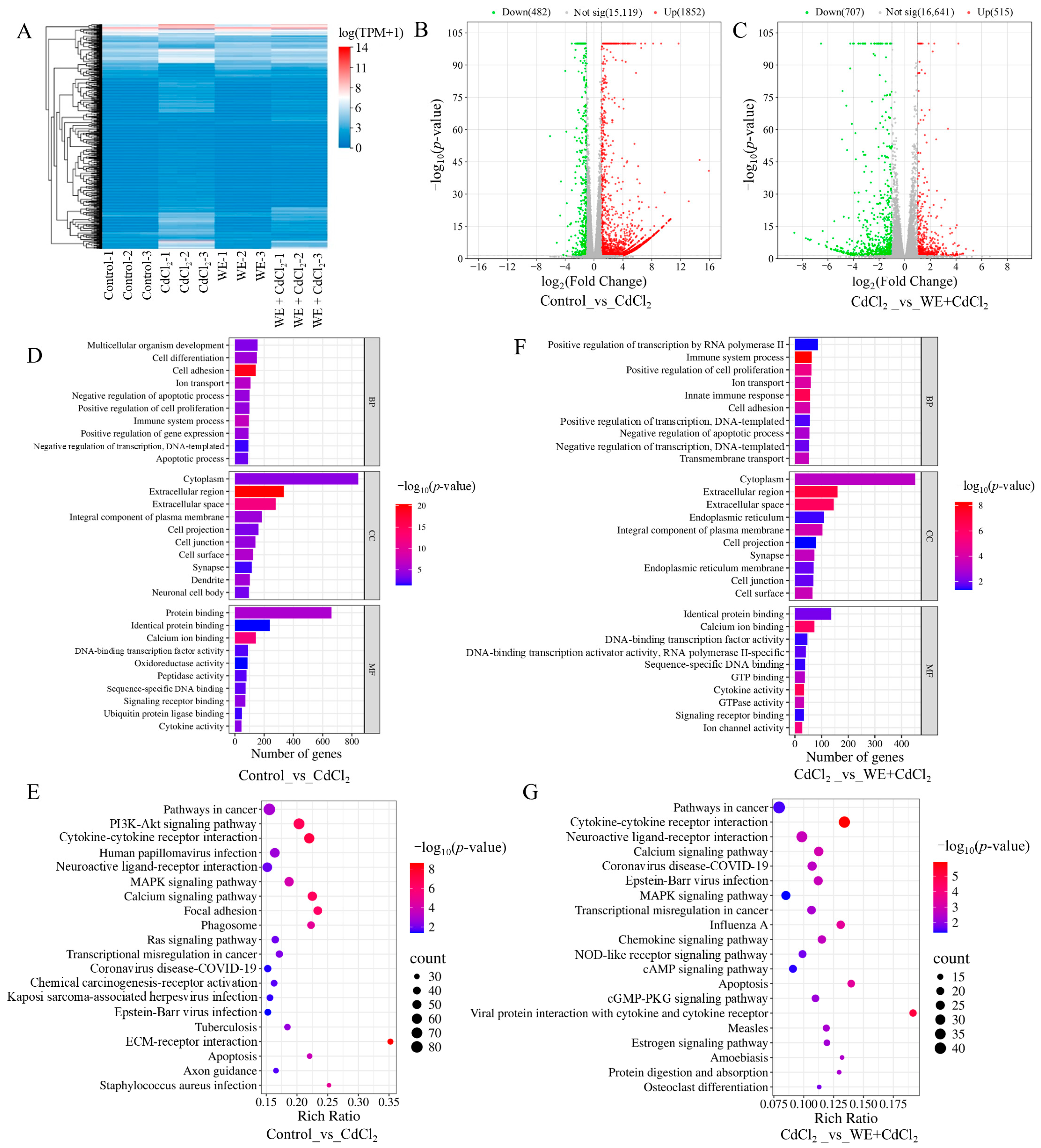 Antioxidants 14 01297 g004 Antioxidants 14 01297 g004
