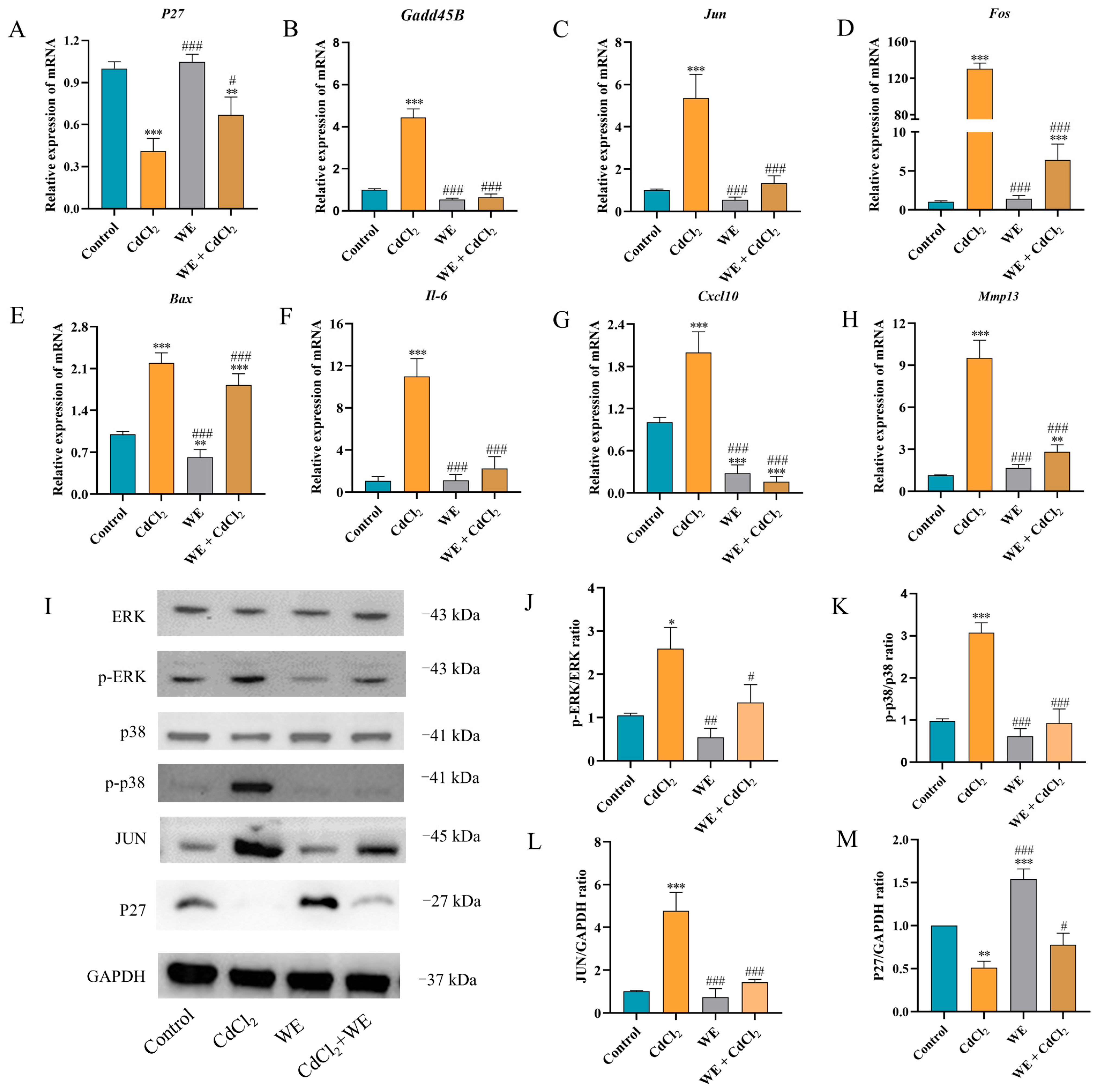 Antioxidants 14 01297 g007 Antioxidants 14 01297 g007