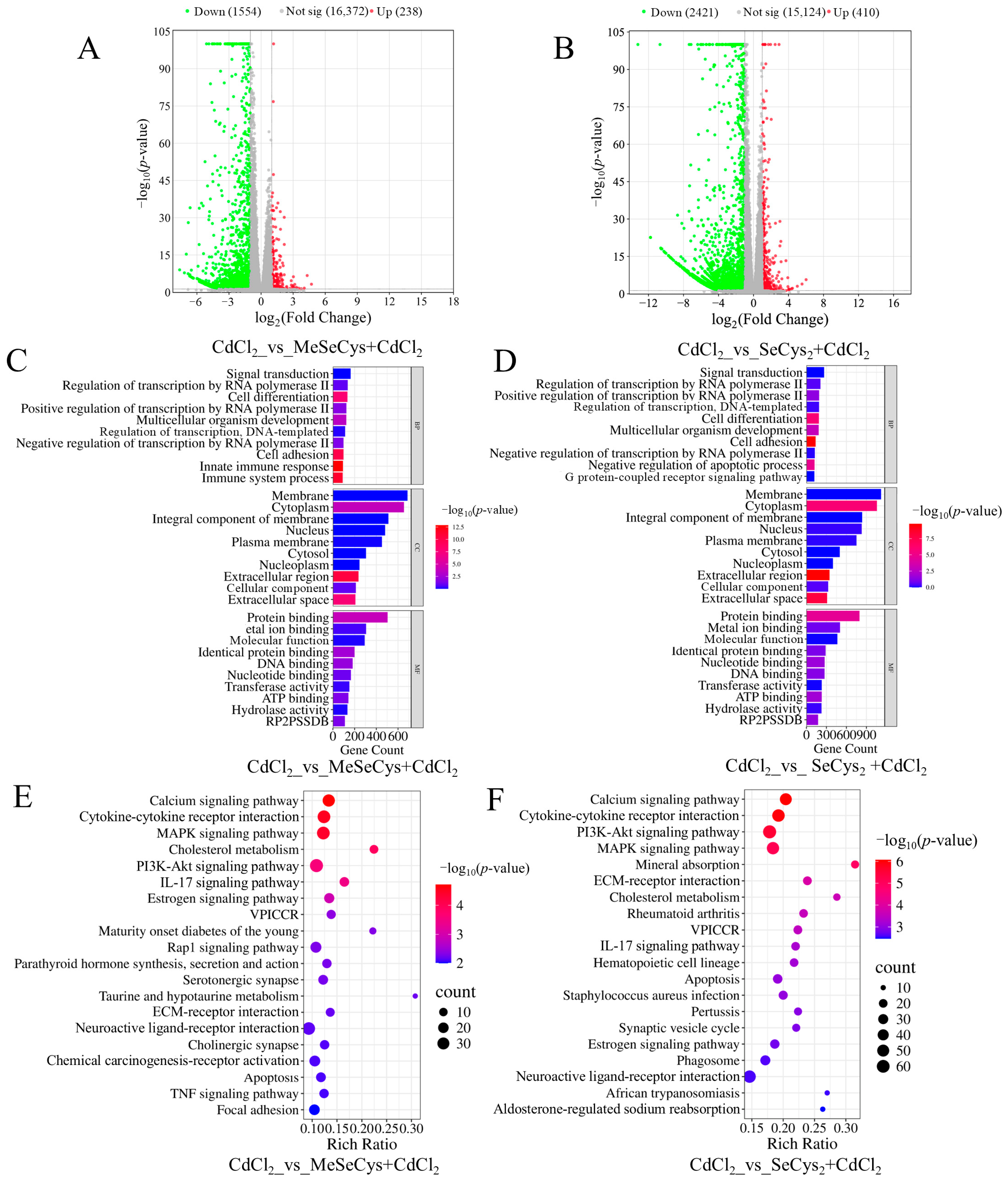 Antioxidants 14 01297 g008 Antioxidants 14 01297 g008