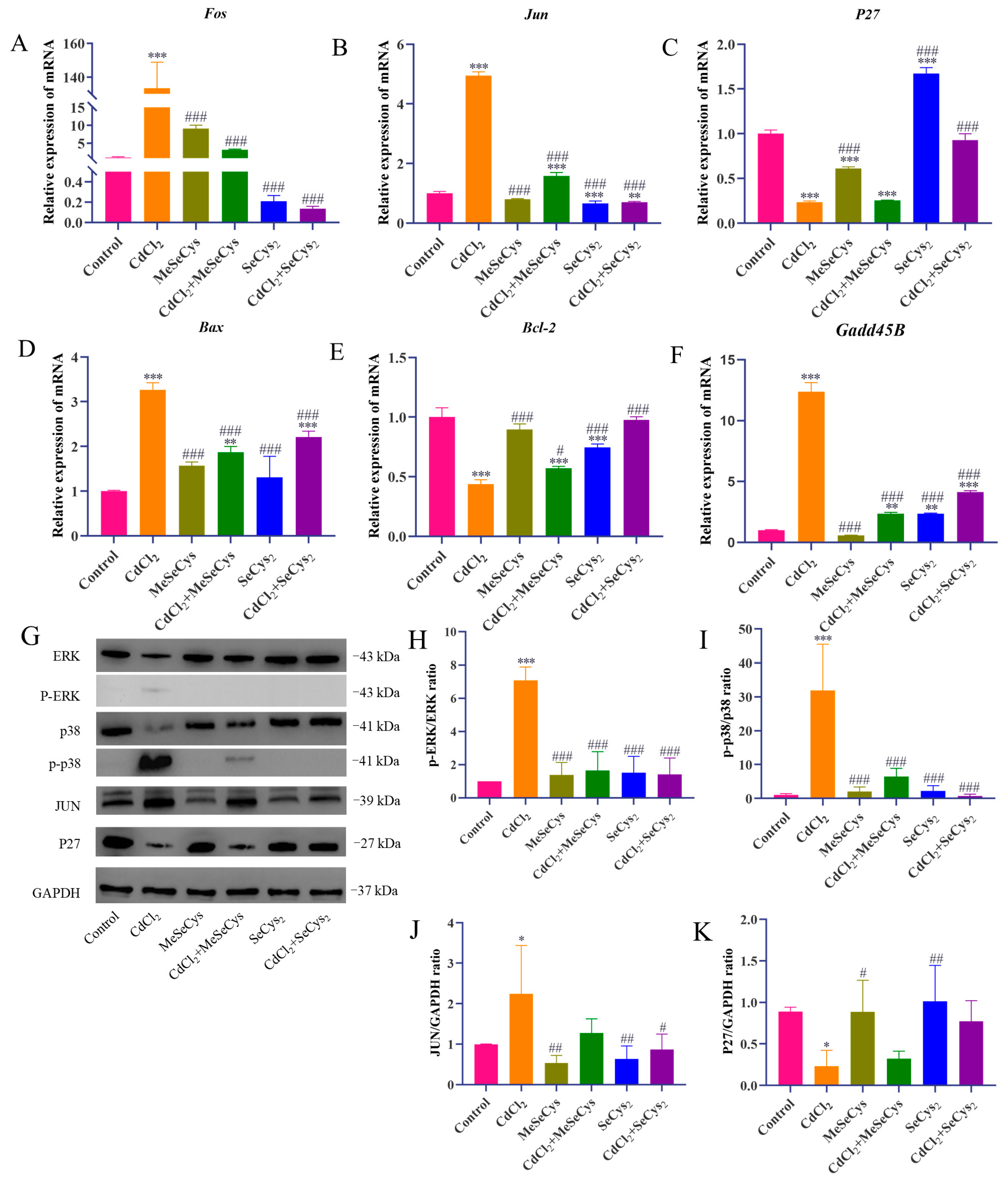 Antioxidants 14 01297 g010 Antioxidants 14 01297 g010