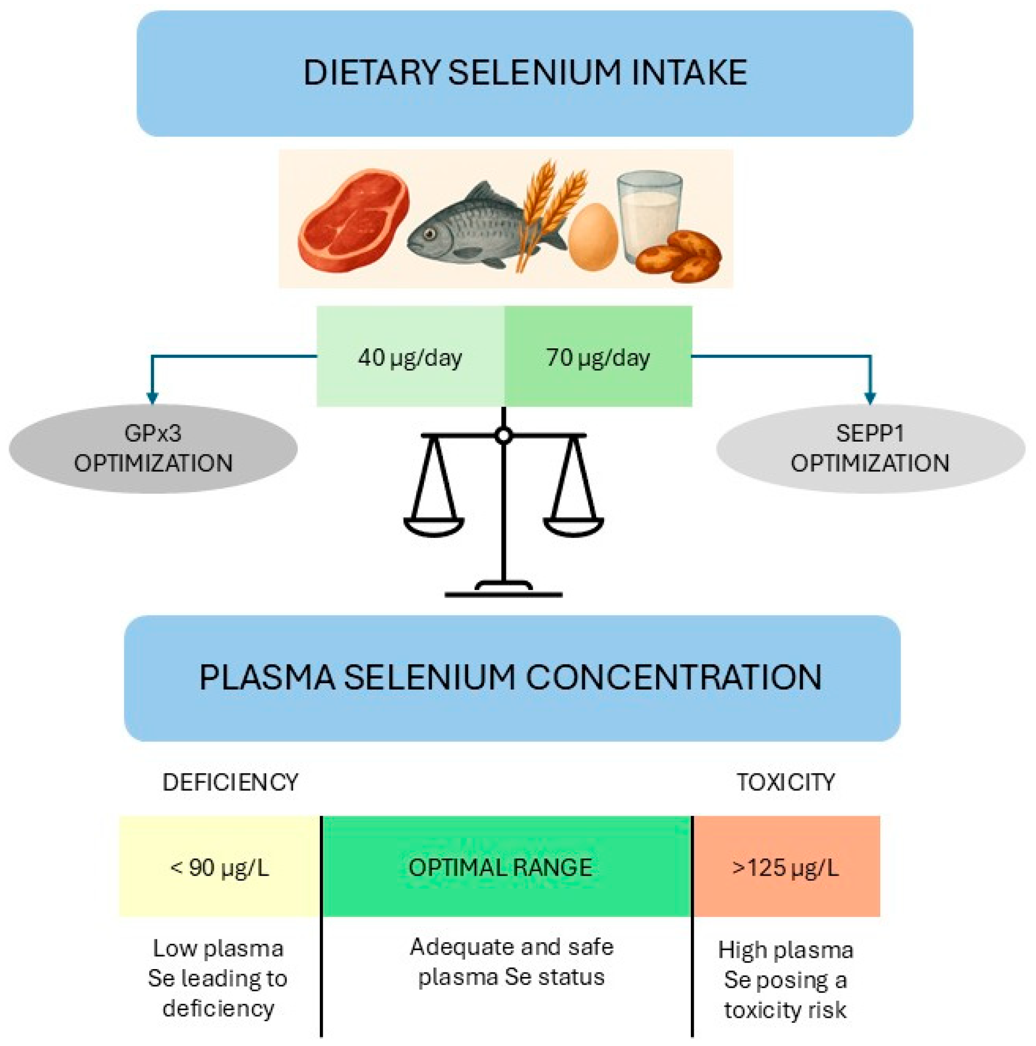 Antioxidants 14 01299 g001 Antioxidants 14 01299 g001