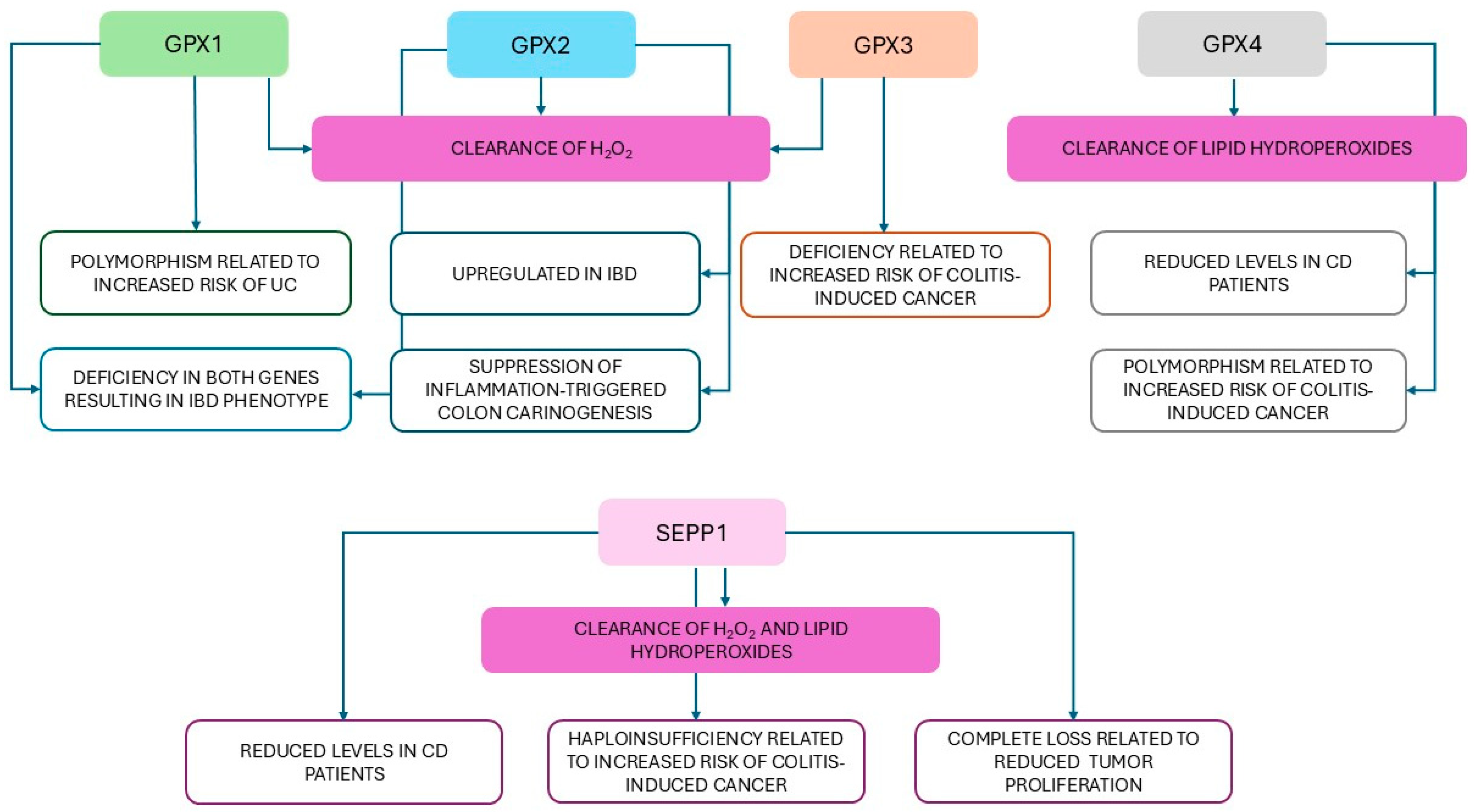 Antioxidants 14 01299 g002 Antioxidants 14 01299 g002