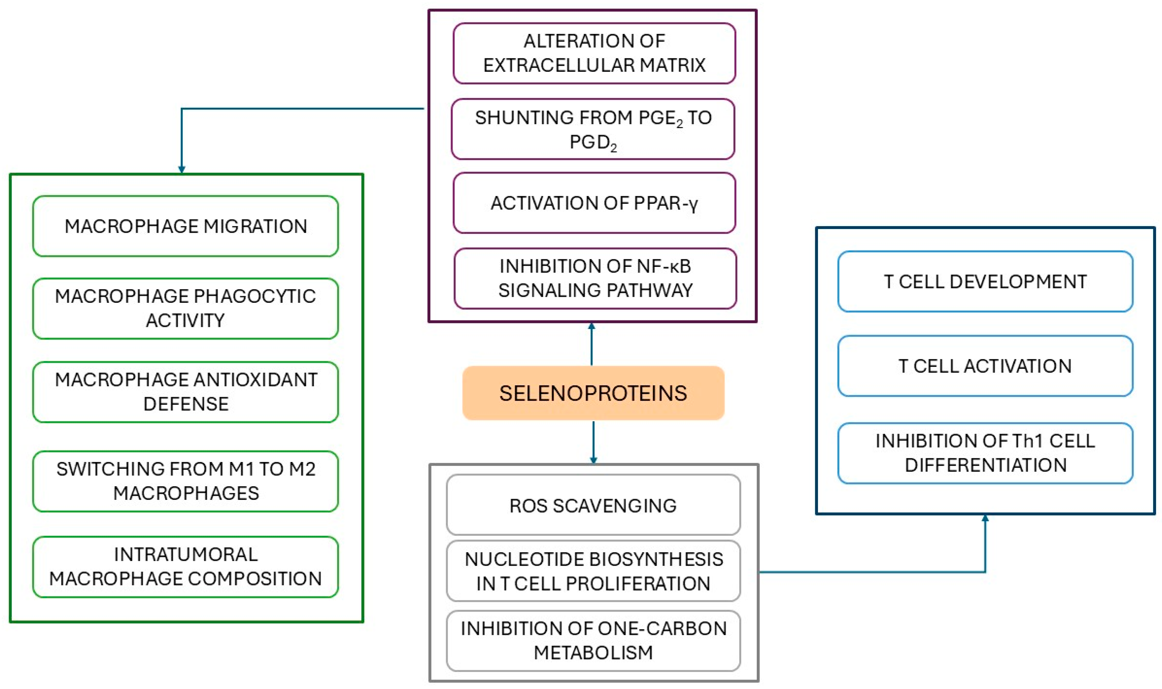 Antioxidants 14 01299 g003 Antioxidants 14 01299 g003