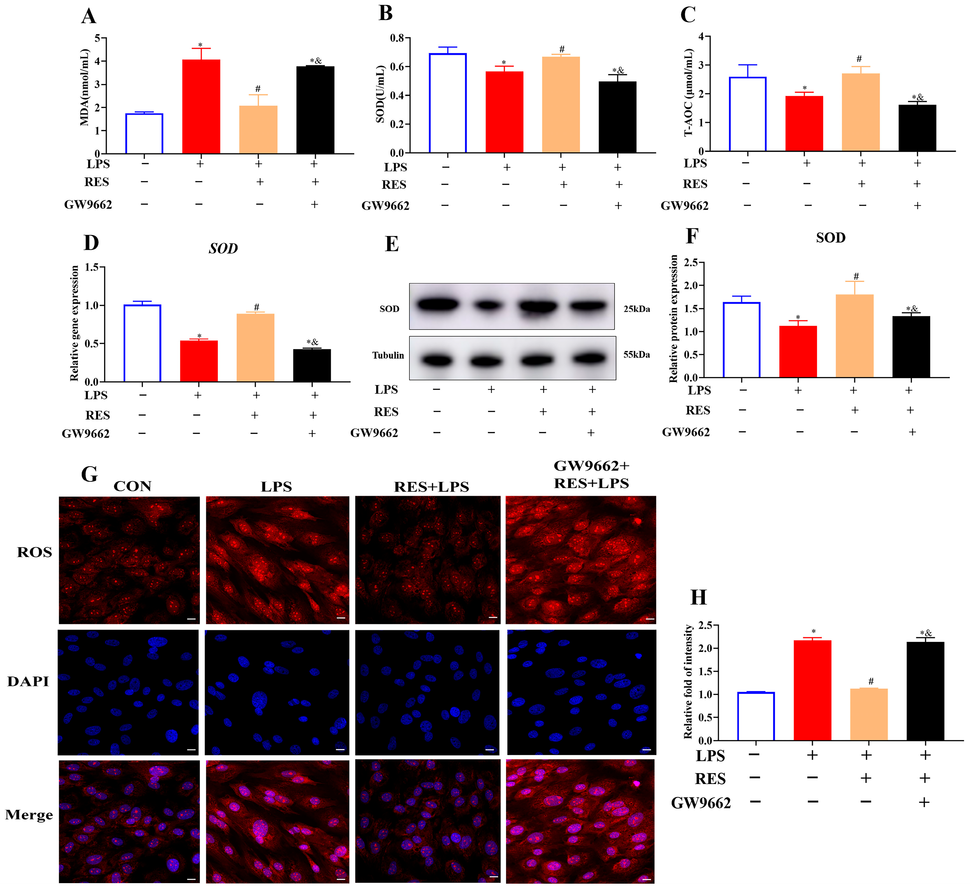 Antioxidants 14 01300 g004 Antioxidants 14 01300 g004