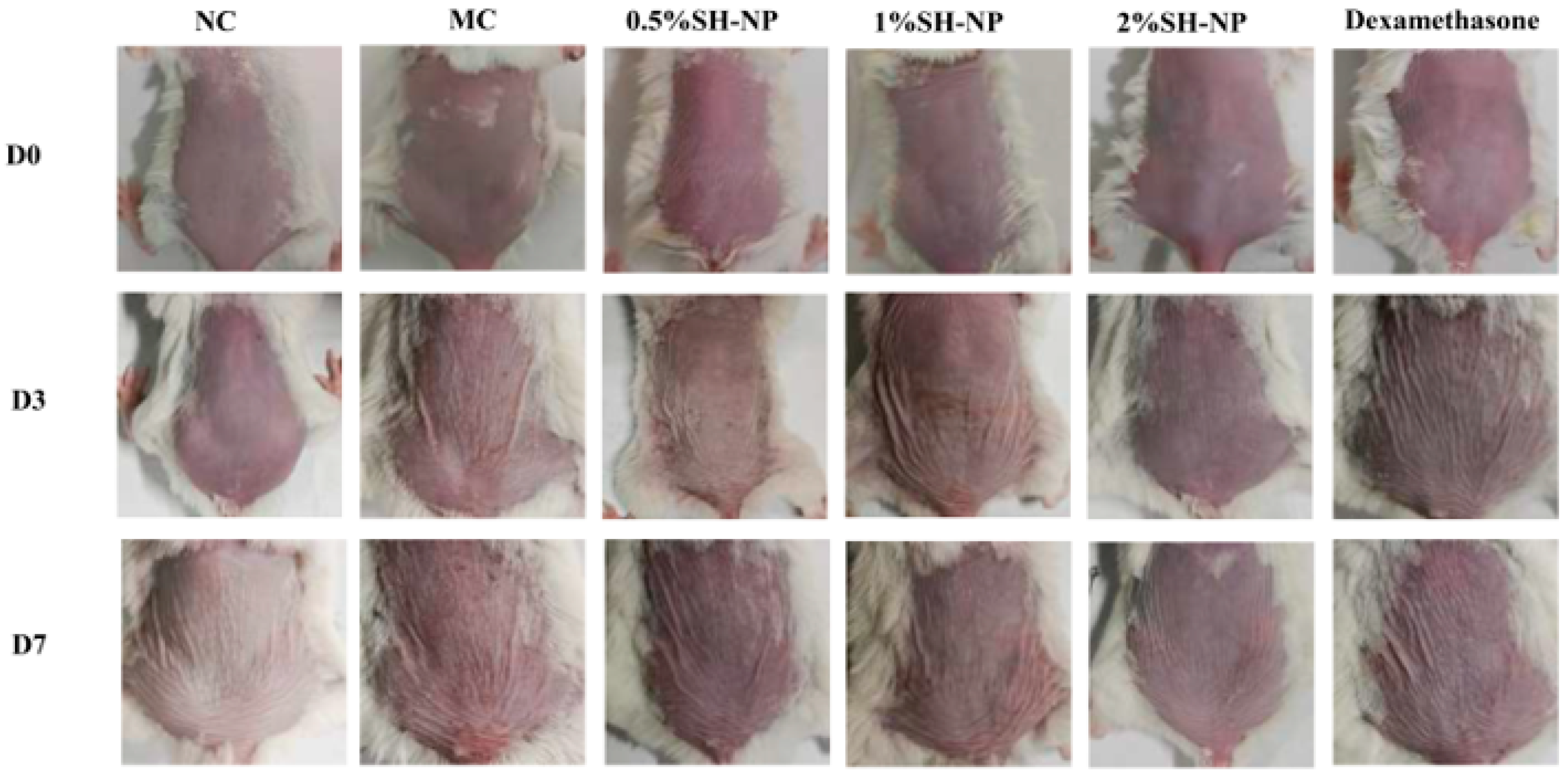 Antioxidants 14 01301 g003