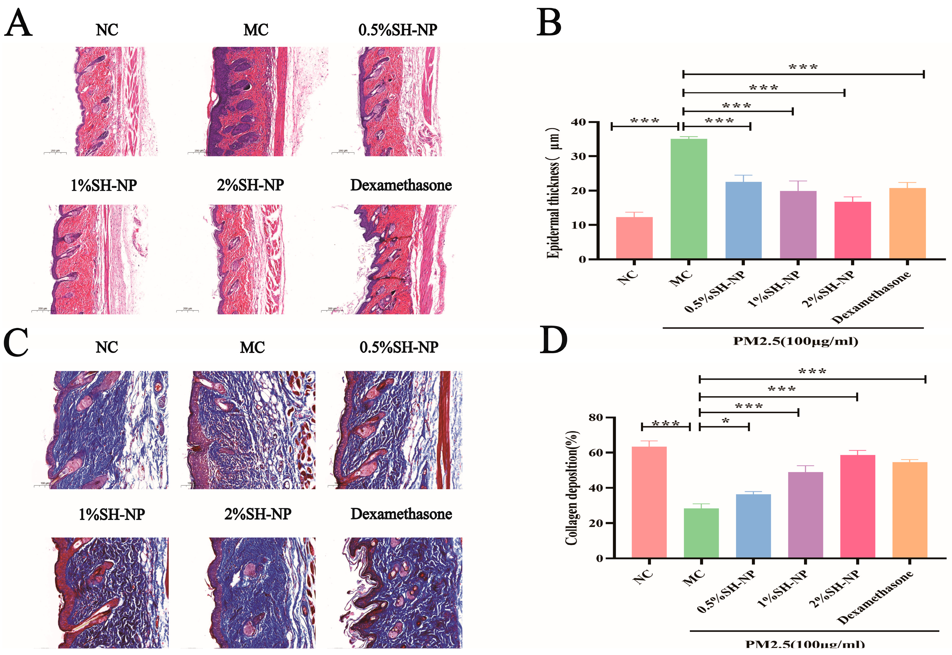 Antioxidants 14 01301 g004