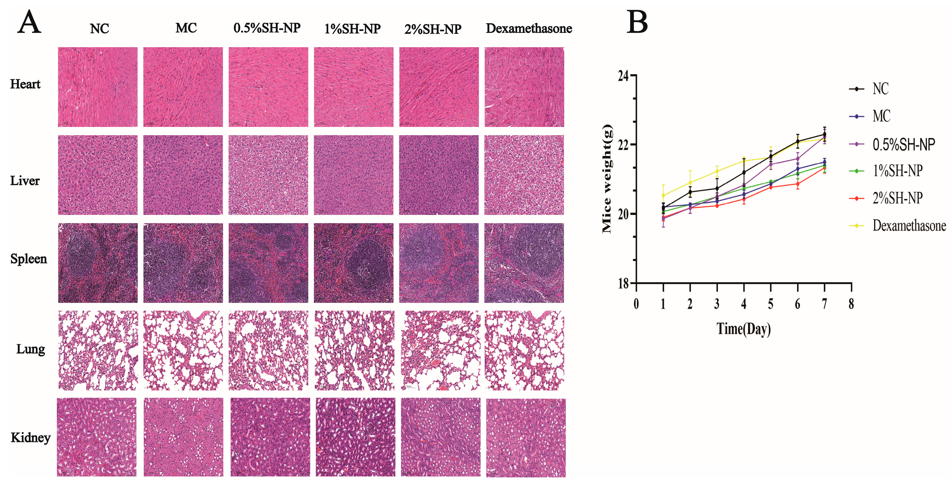Antioxidants 14 01301 g008