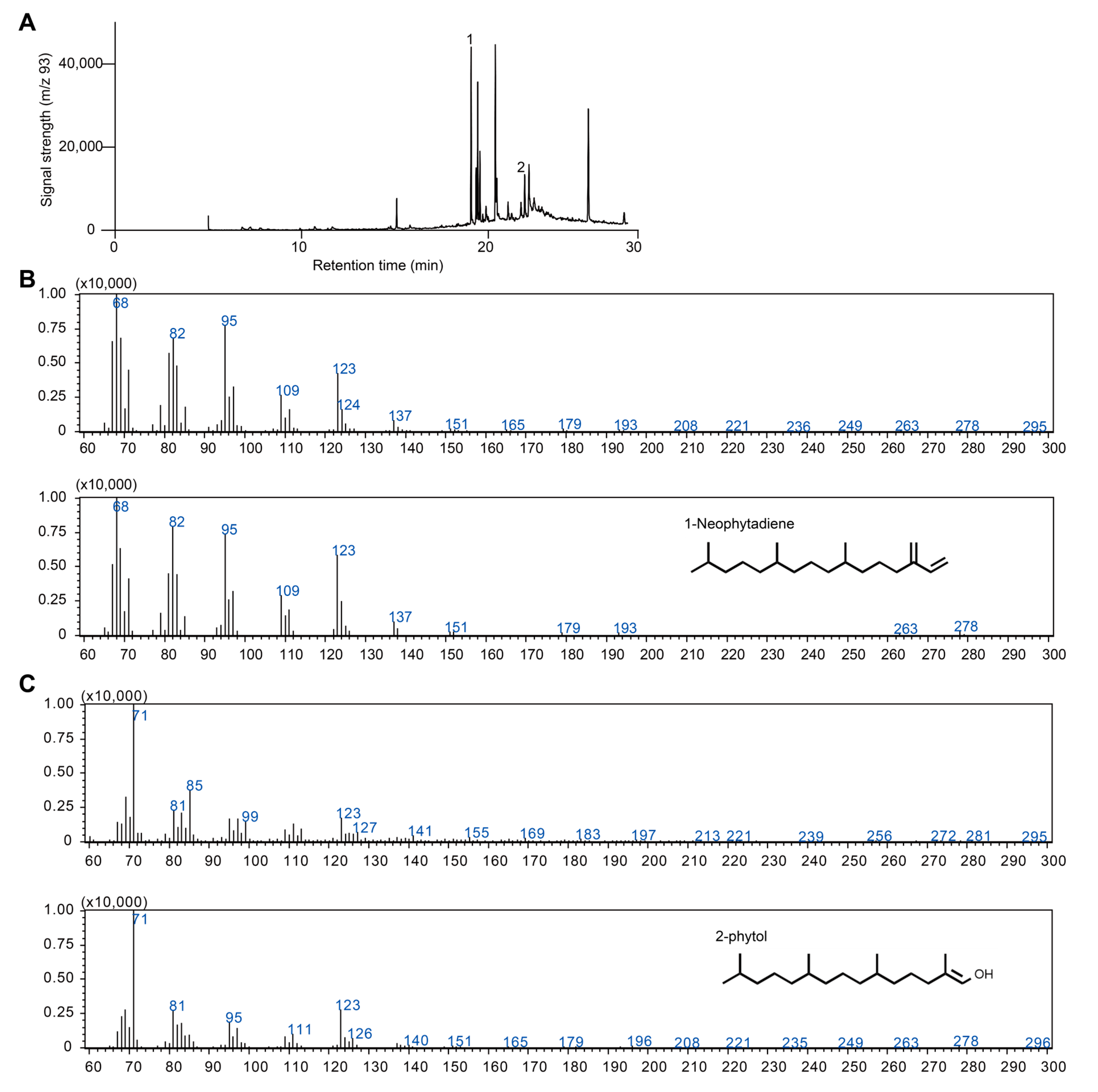 Antioxidants 14 01303 g002 Antioxidants 14 01303 g002
