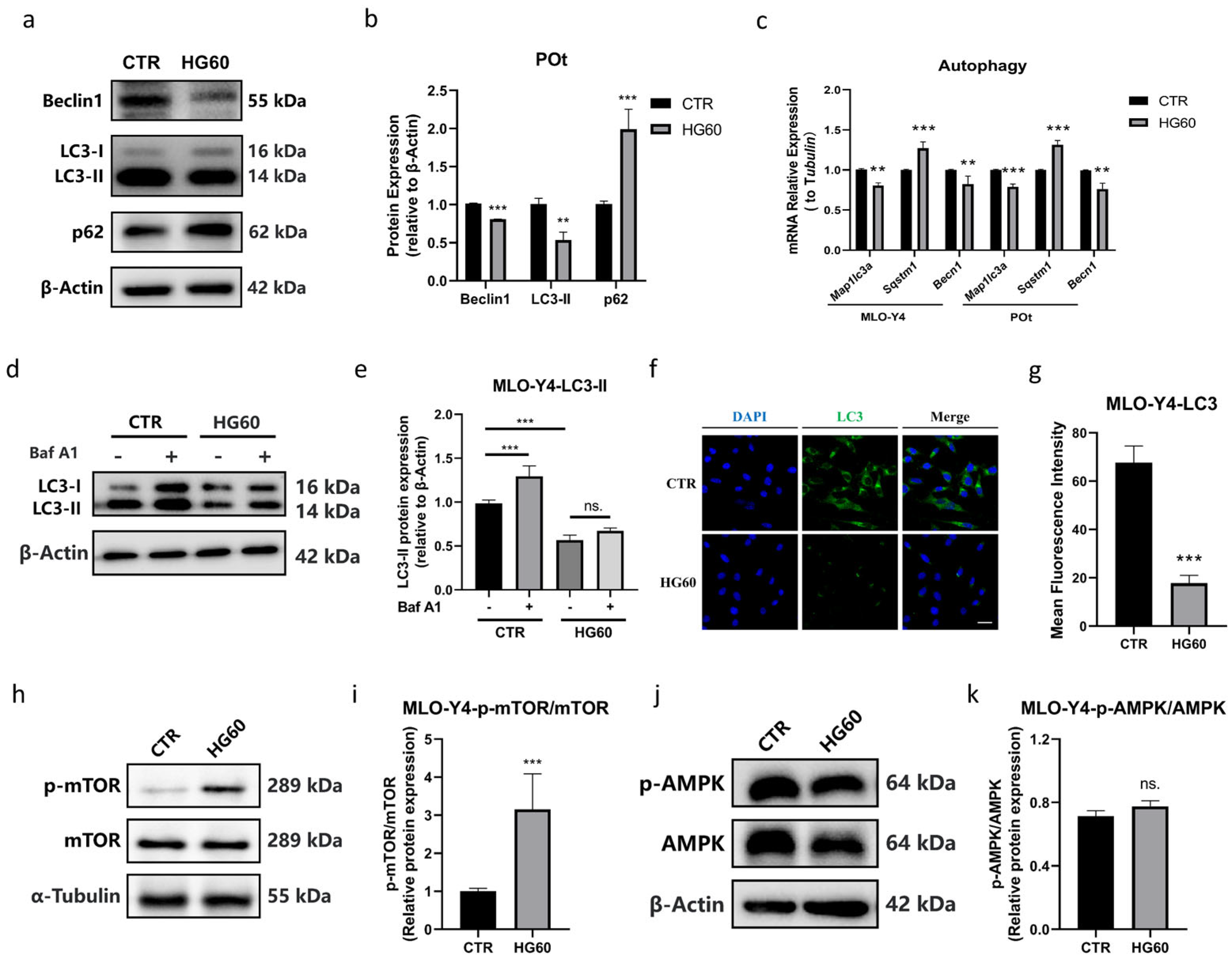 Antioxidants 14 01306 g002 Antioxidants 14 01306 g002