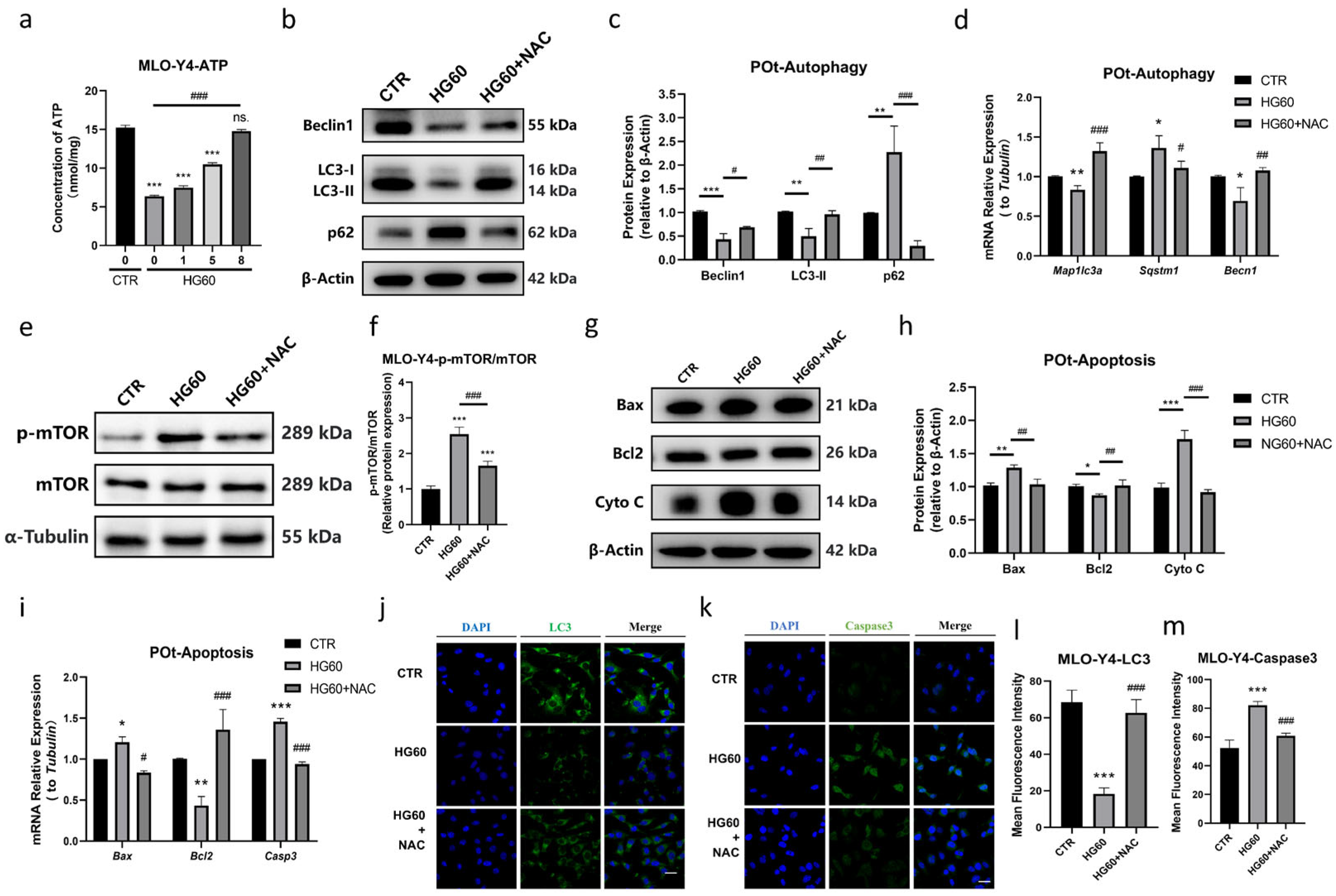 Antioxidants 14 01306 g004 Antioxidants 14 01306 g004