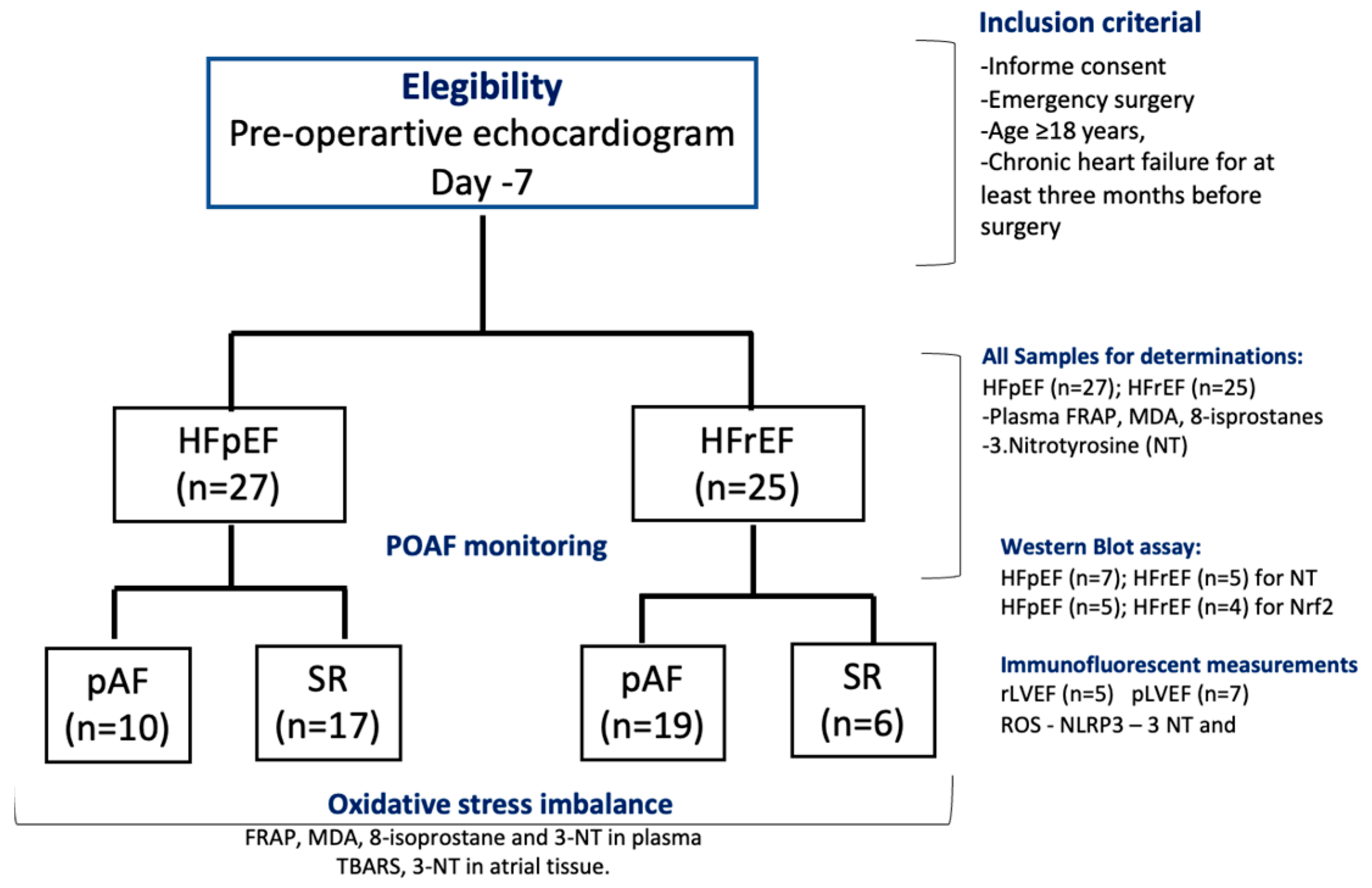 Antioxidants 14 01311 g001 Antioxidants 14 01311 g001