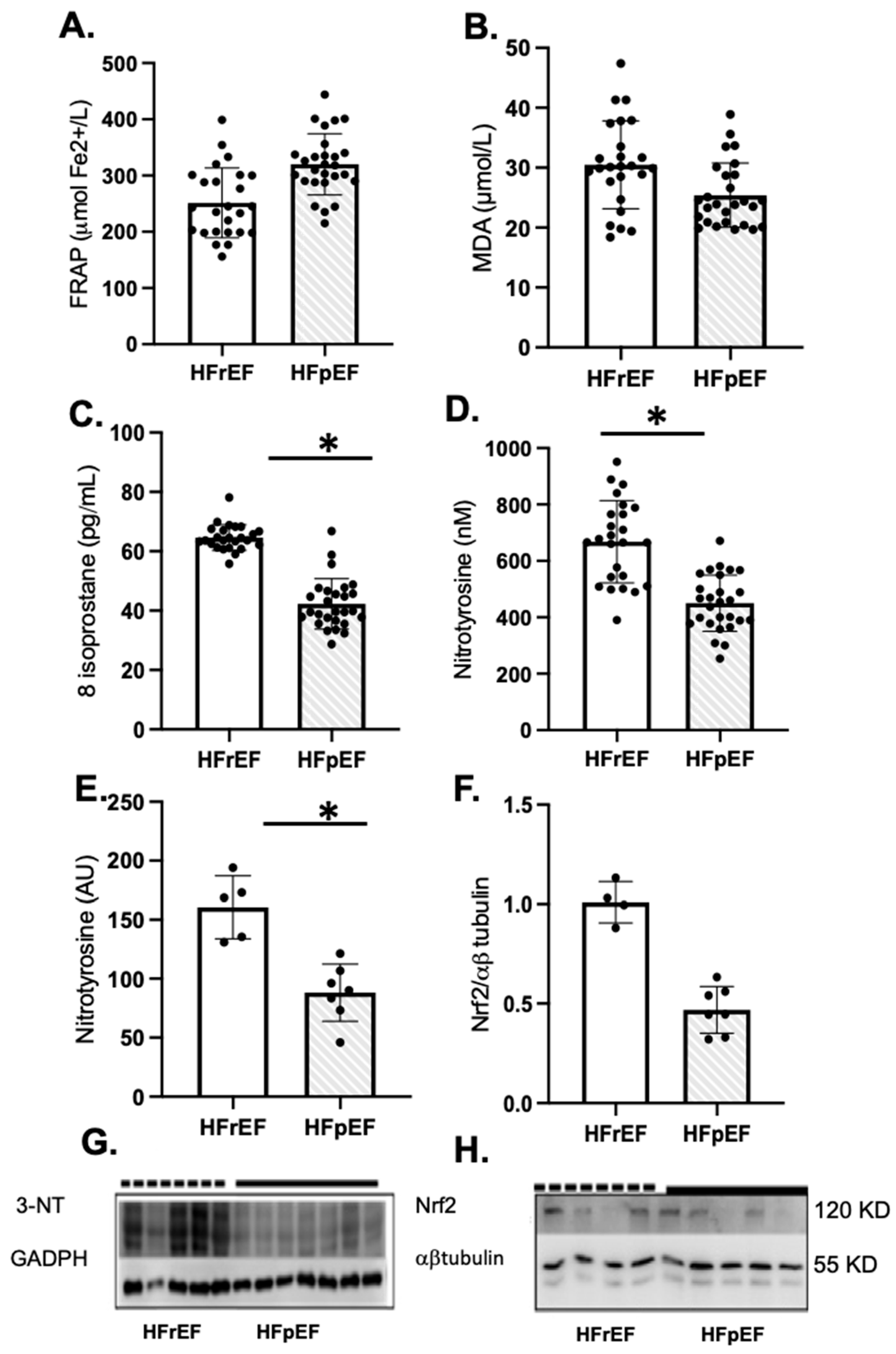 Antioxidants 14 01311 g002 Antioxidants 14 01311 g002
