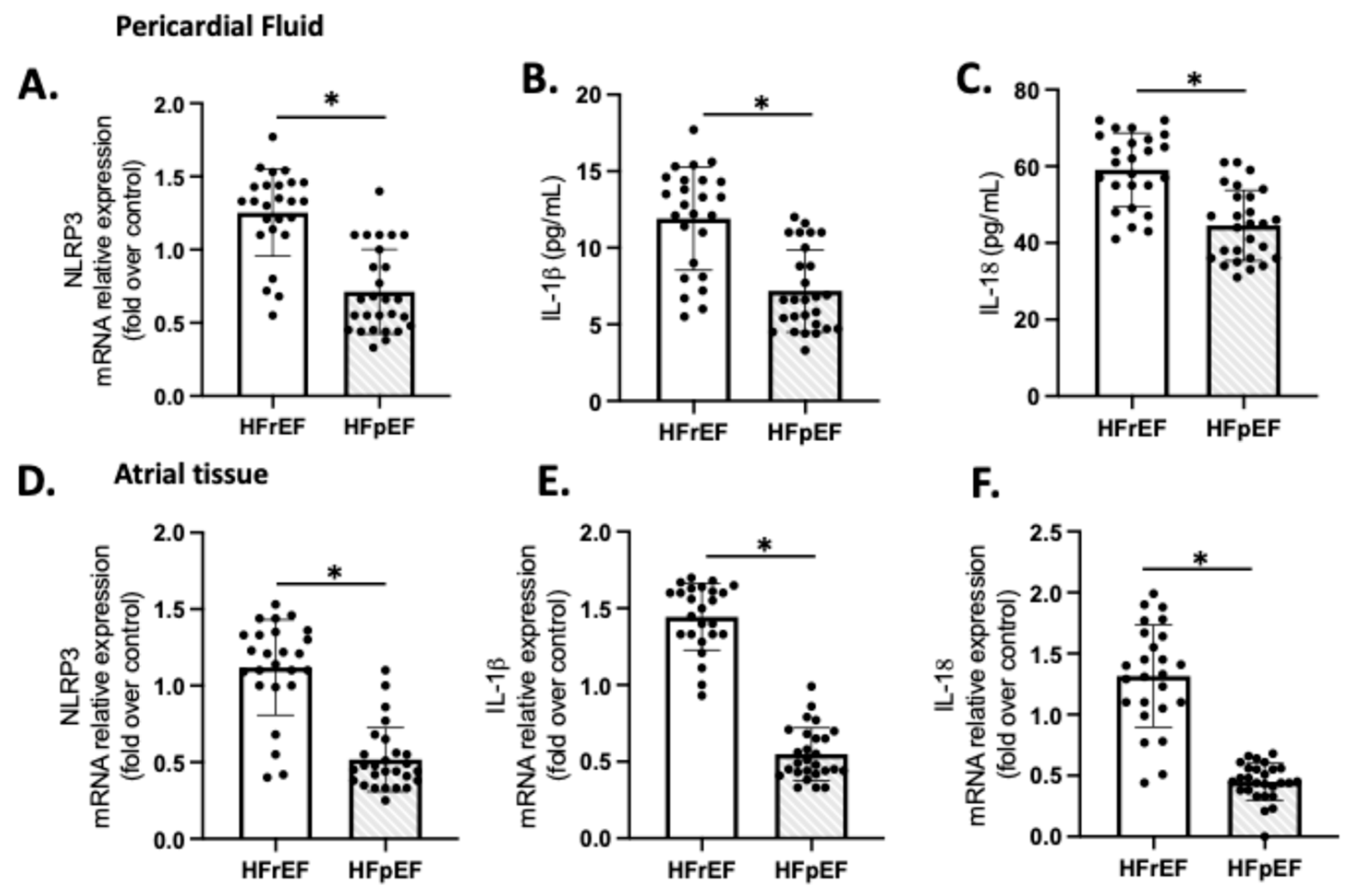 Antioxidants 14 01311 g004 Antioxidants 14 01311 g004