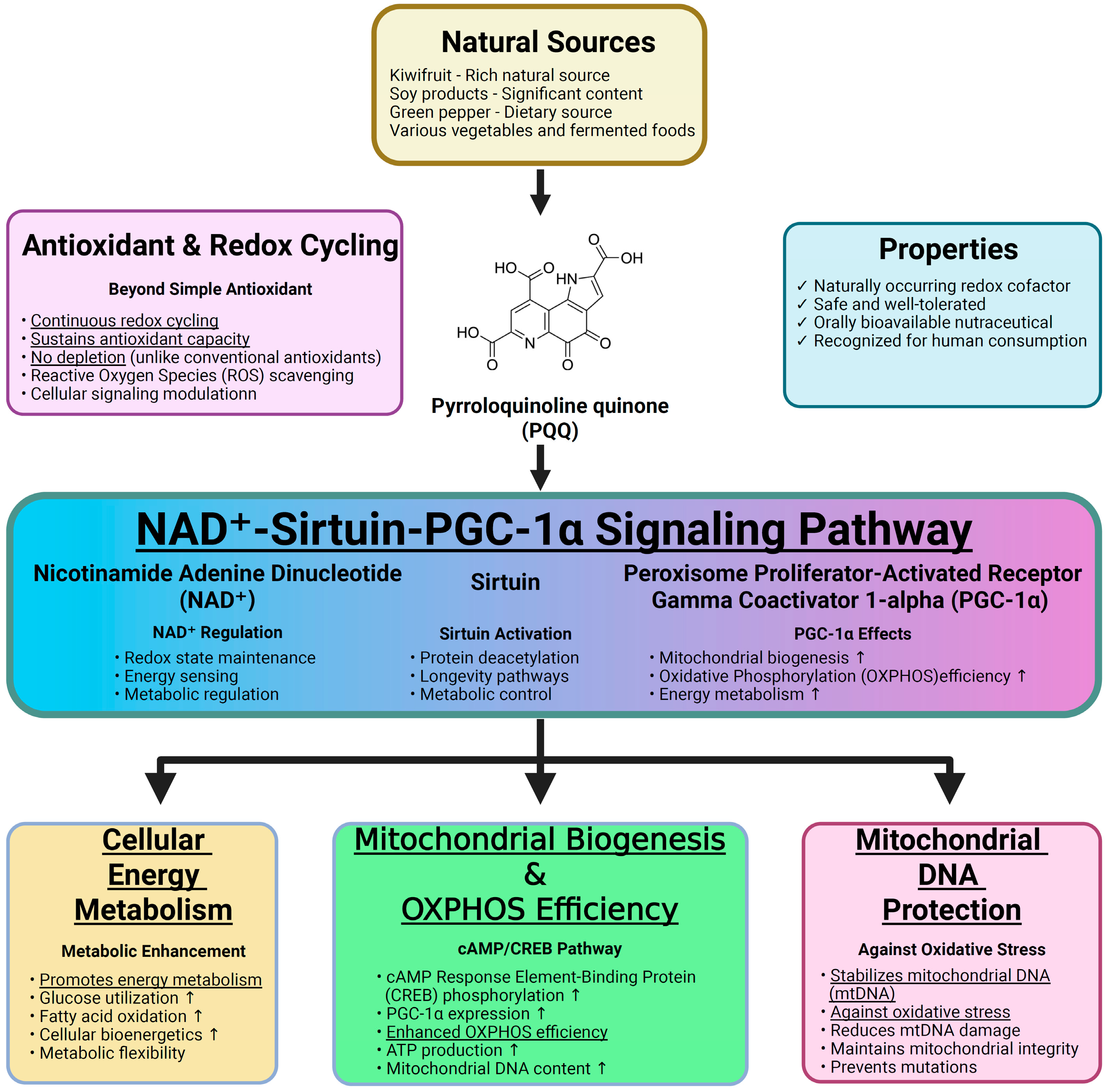 Antioxidants 14 01312 g001