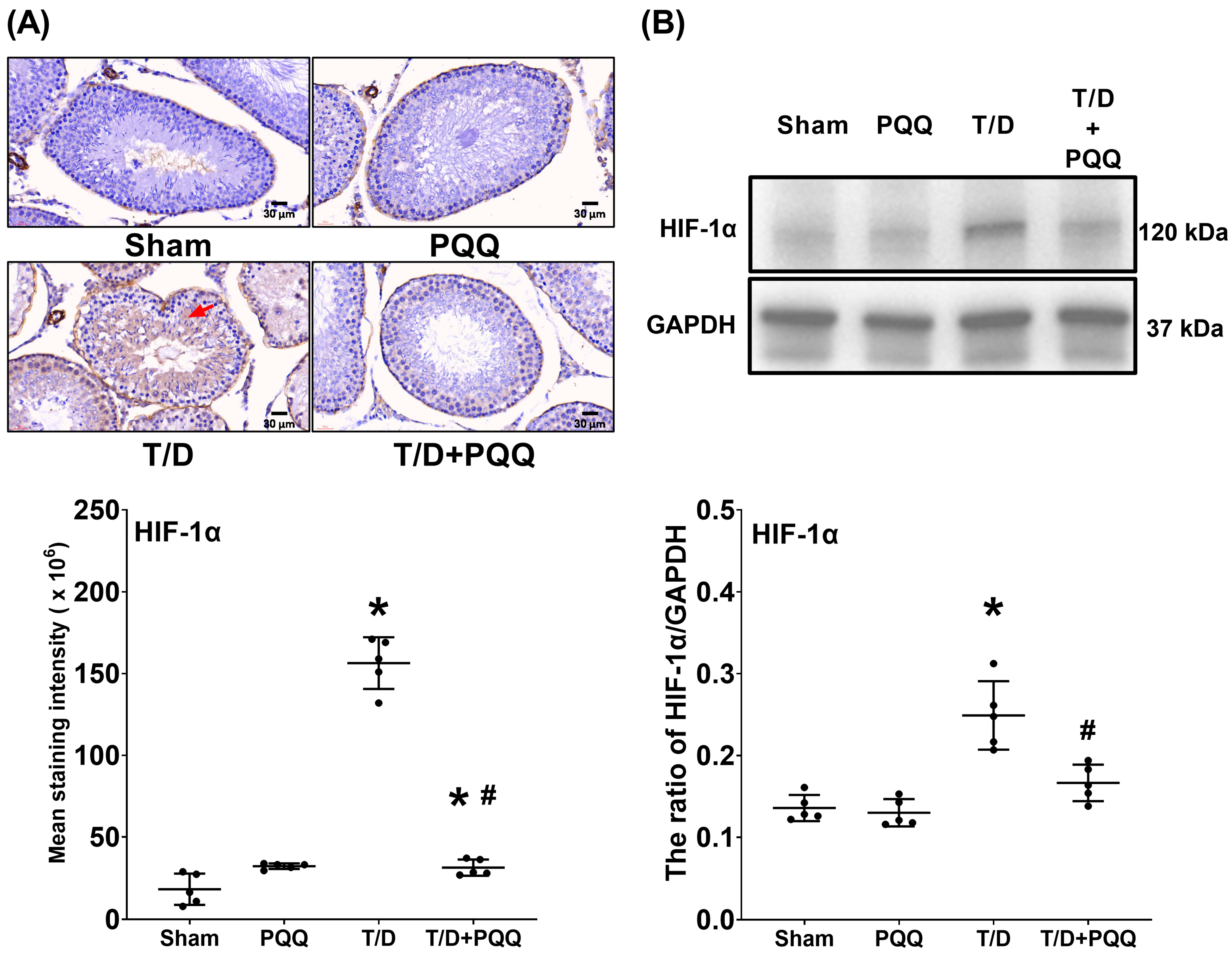 Antioxidants 14 01312 g003