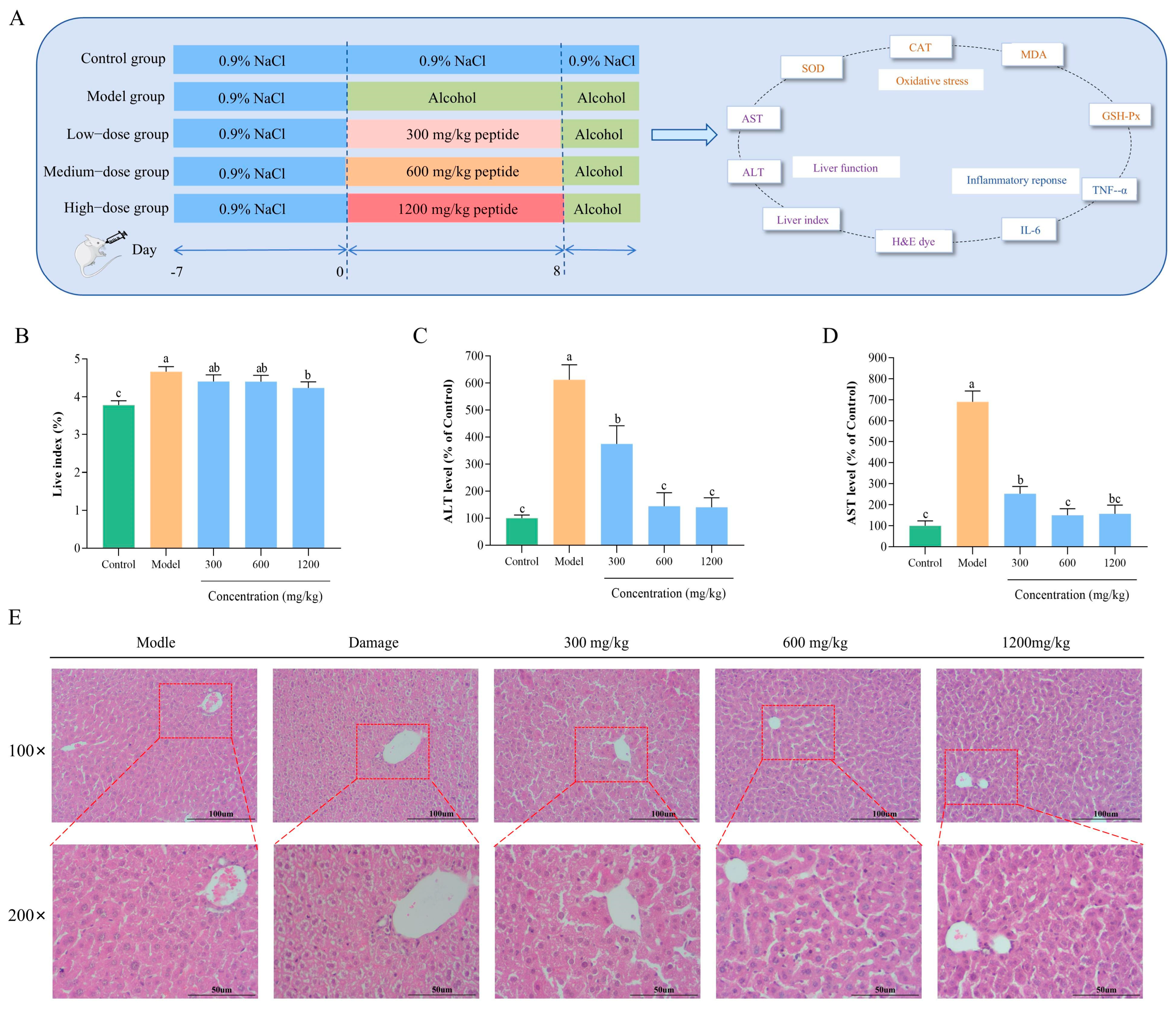 Antioxidants 14 01314 g005