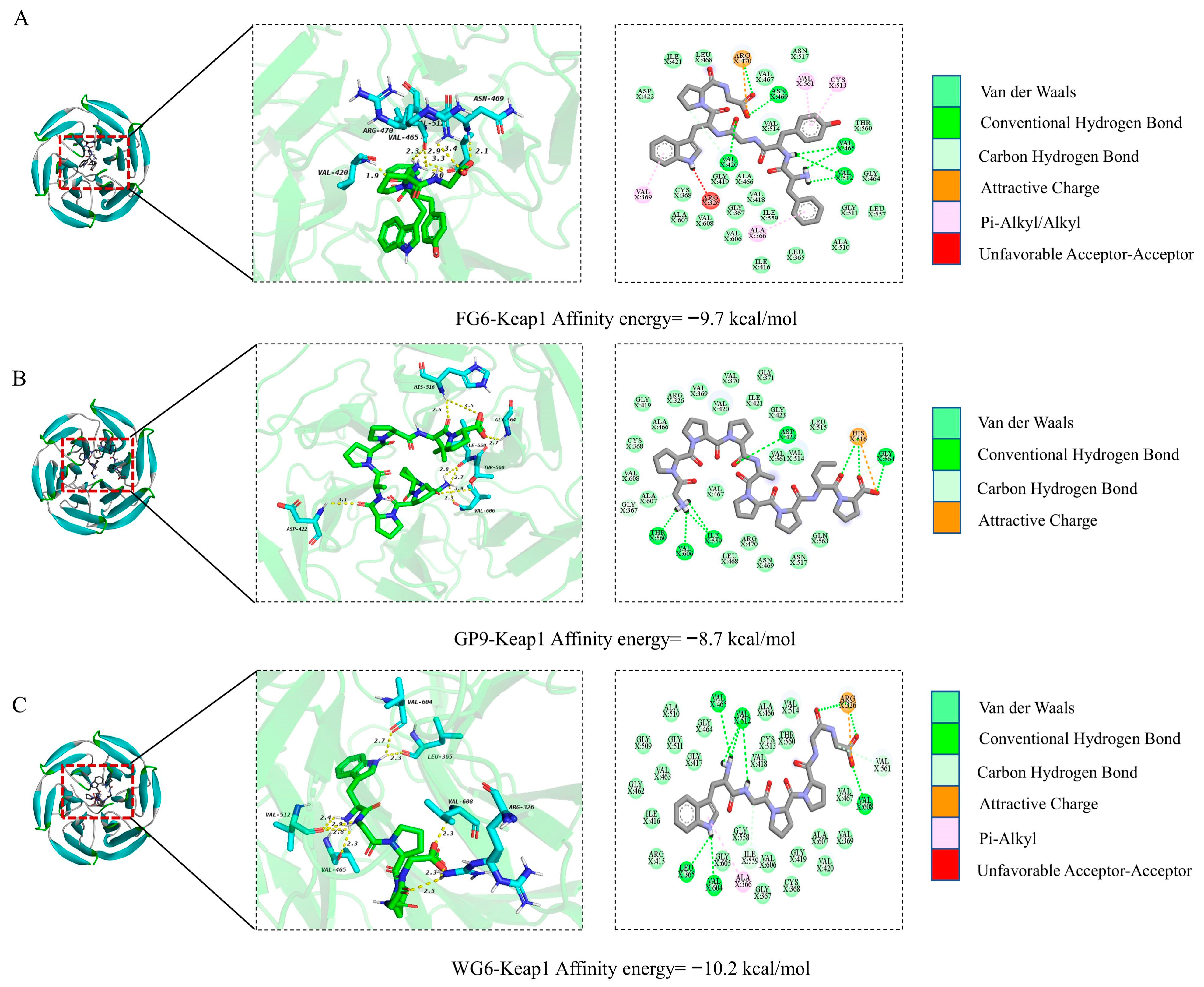 Antioxidants 14 01314 g008