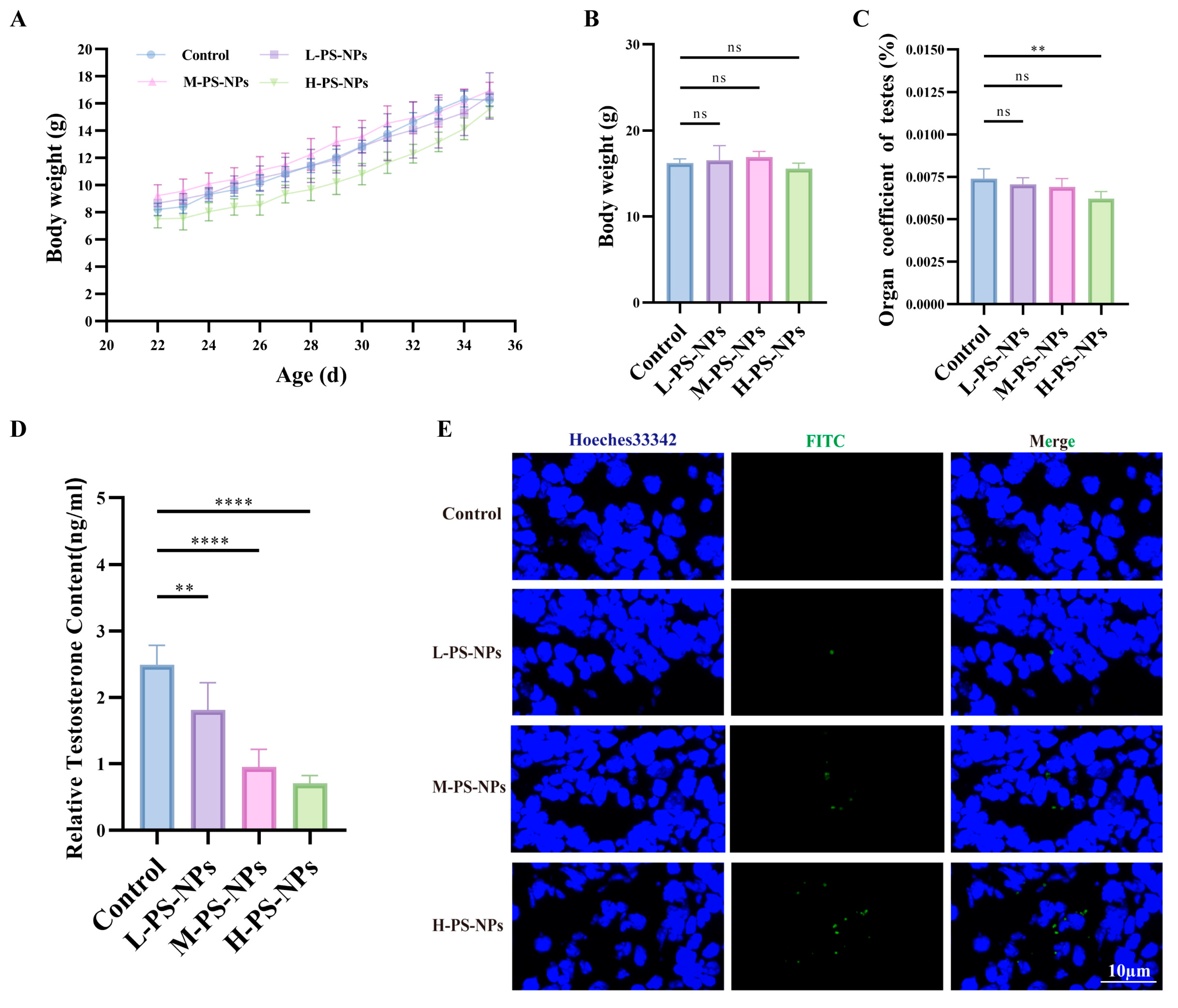 Antioxidants 14 01315 g002