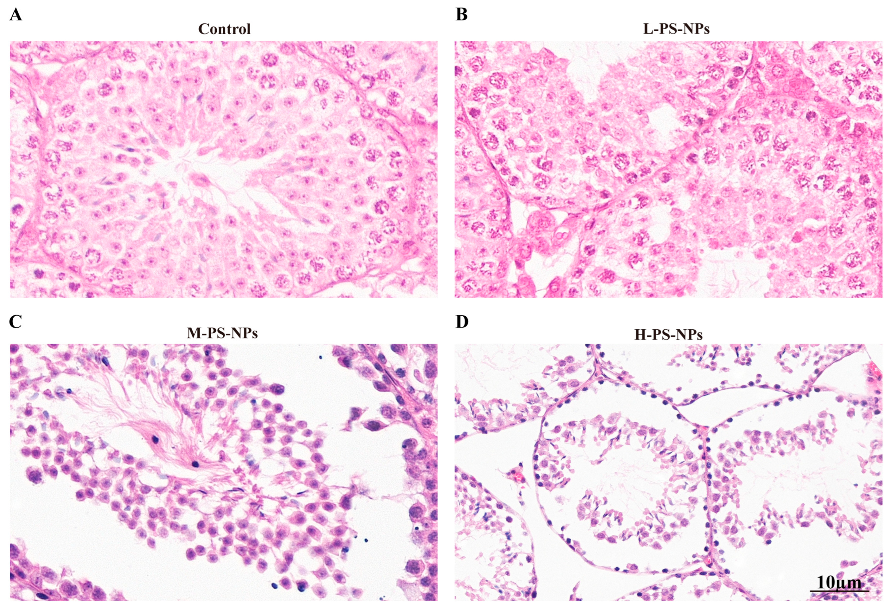 Antioxidants 14 01315 g003