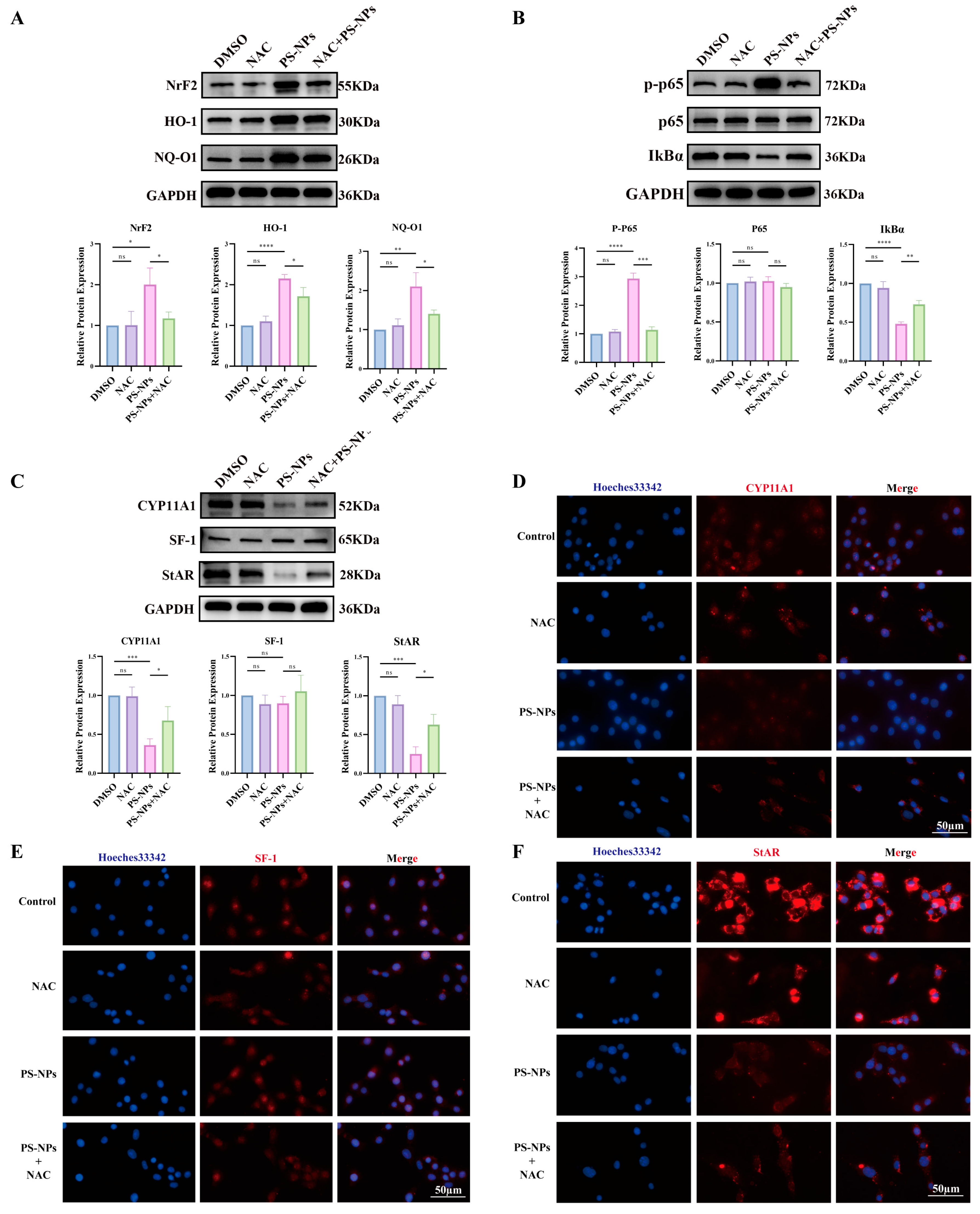 Antioxidants 14 01315 g009