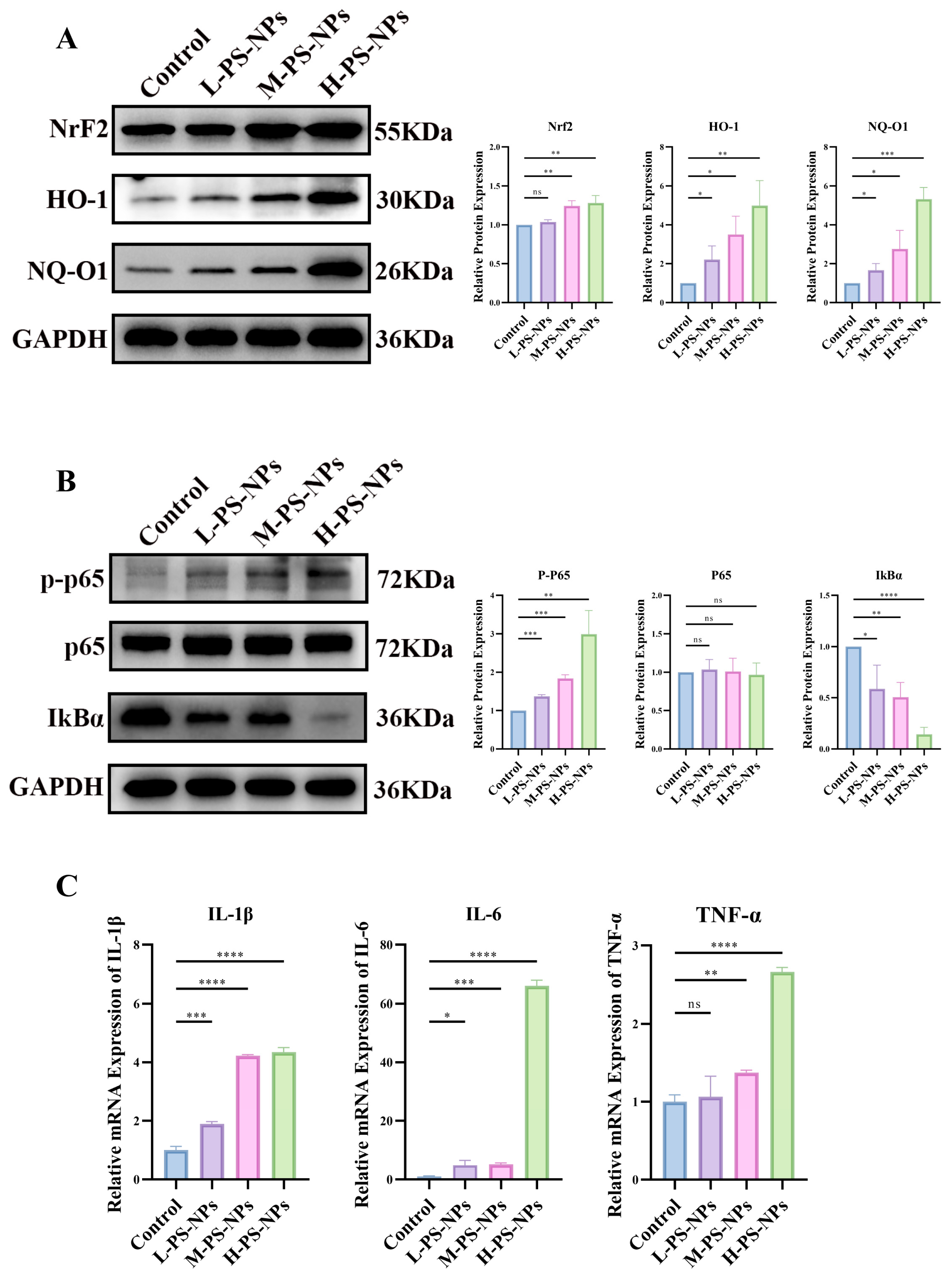 Antioxidants 14 01315 g011